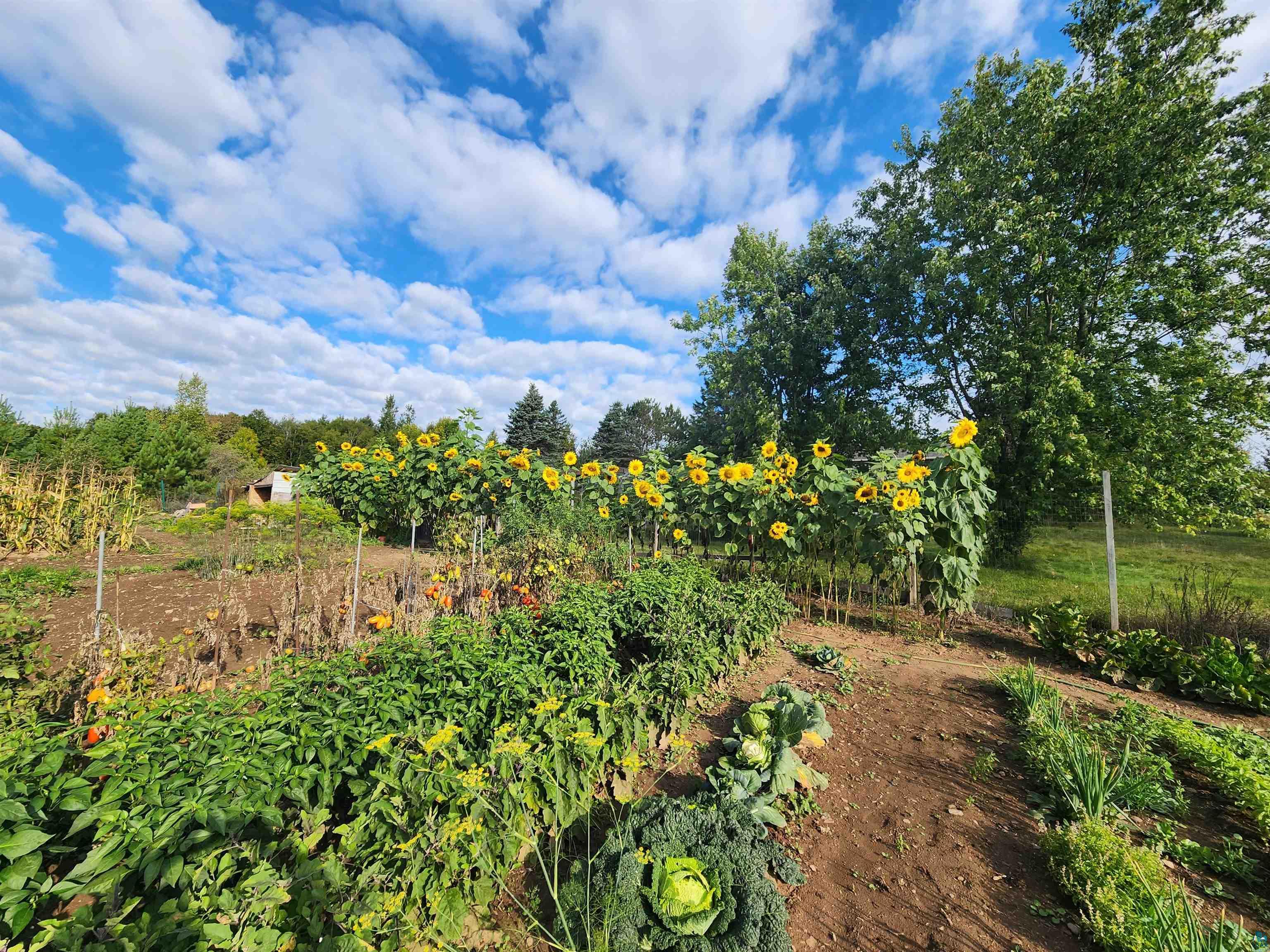 4233 Solway Road Duluth, MN 55810 - Photo 43 of 50