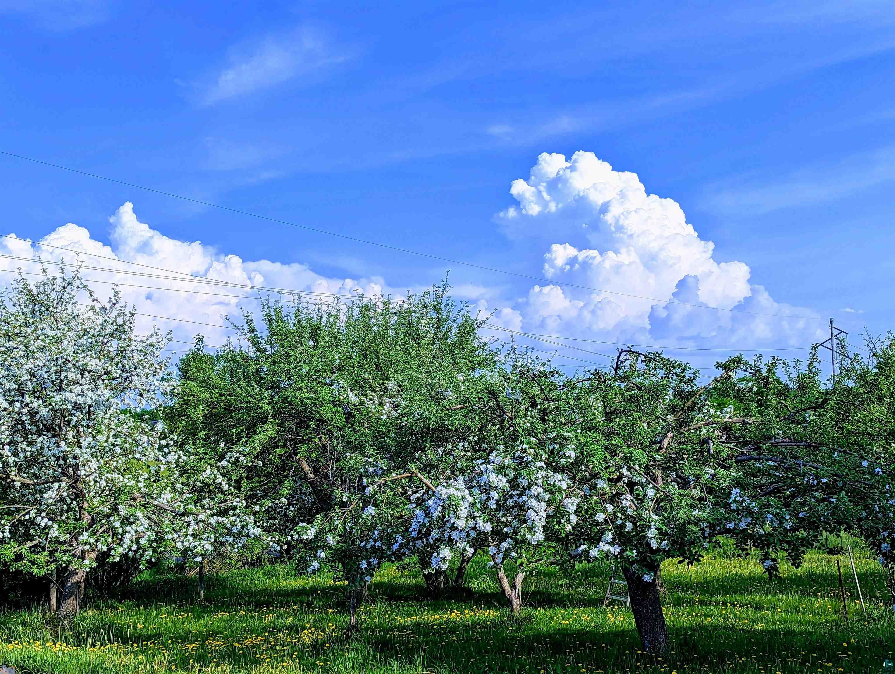 4233 Solway Road Duluth, MN 55810 - Photo 44 of 50