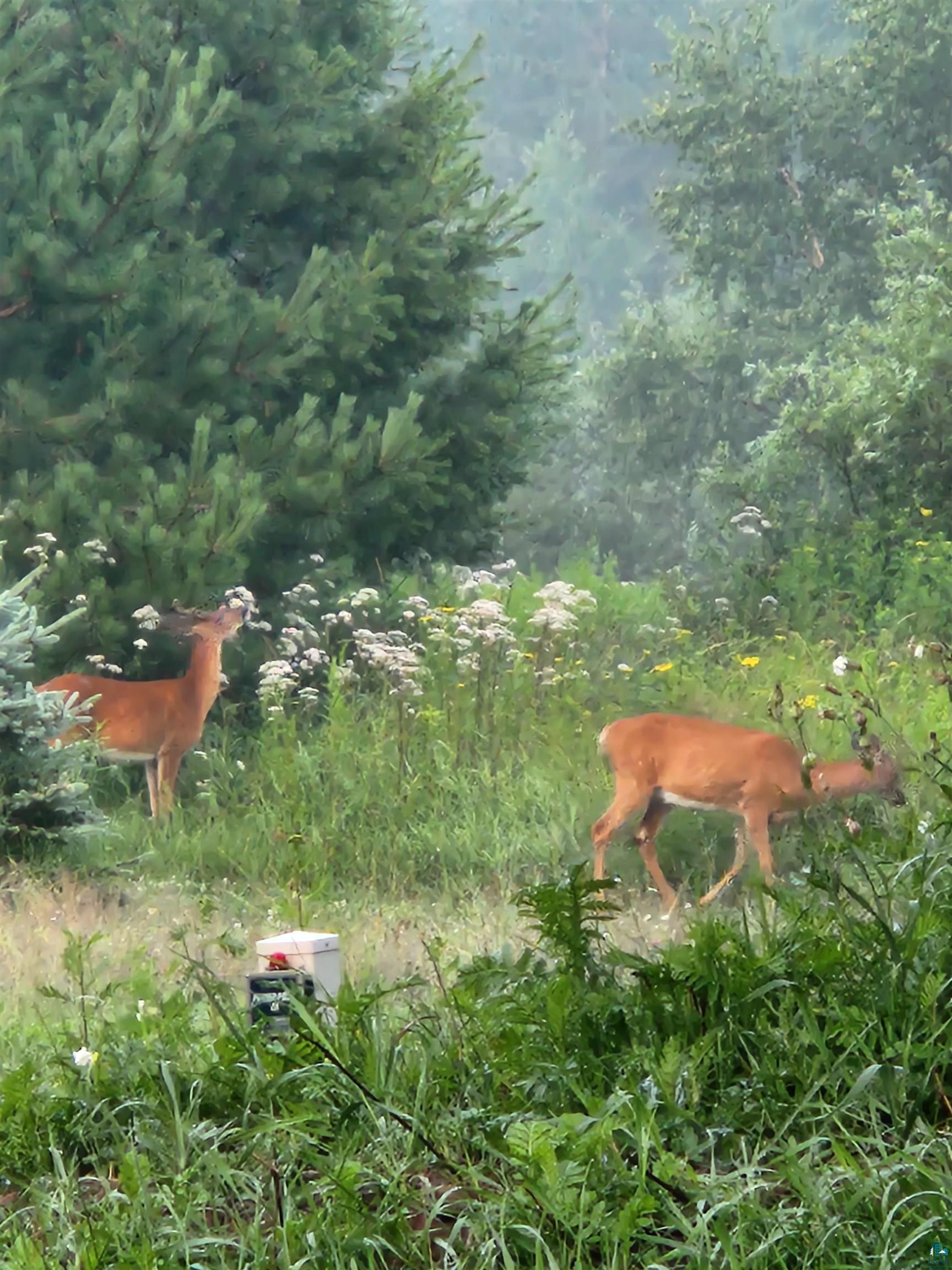 4233 Solway Road Duluth, MN 55810 - Photo 46 of 50