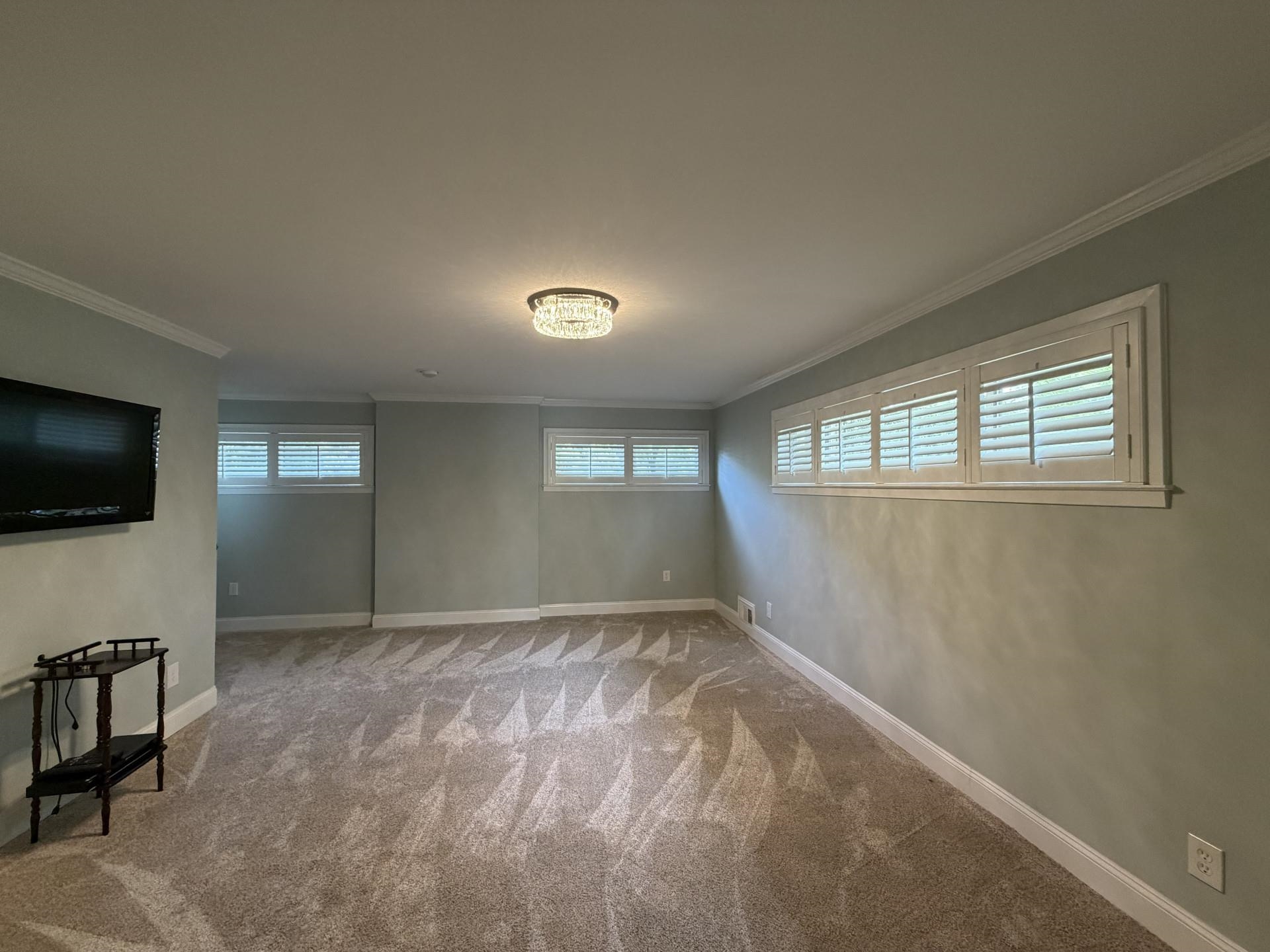 544 Peterson Lake Road Collierville, TN 38017 - Photo 15 of 24