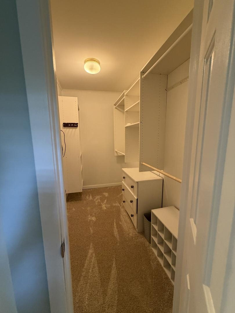 544 Peterson Lake Road Collierville, TN 38017 - Photo 17 of 24