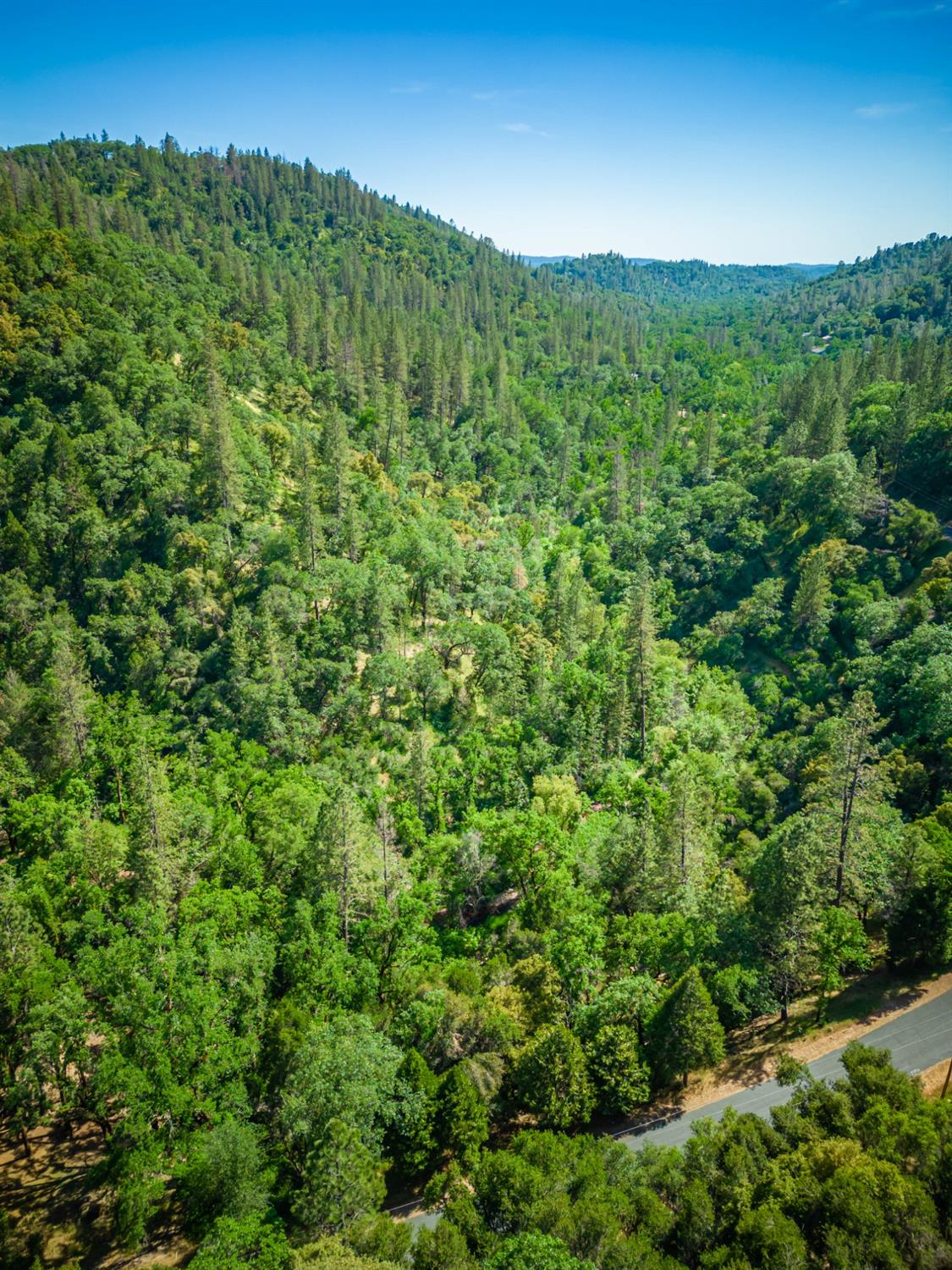 16111 Clover Valley Road Grass Valley, CA 95949 - Photo 14 of 71