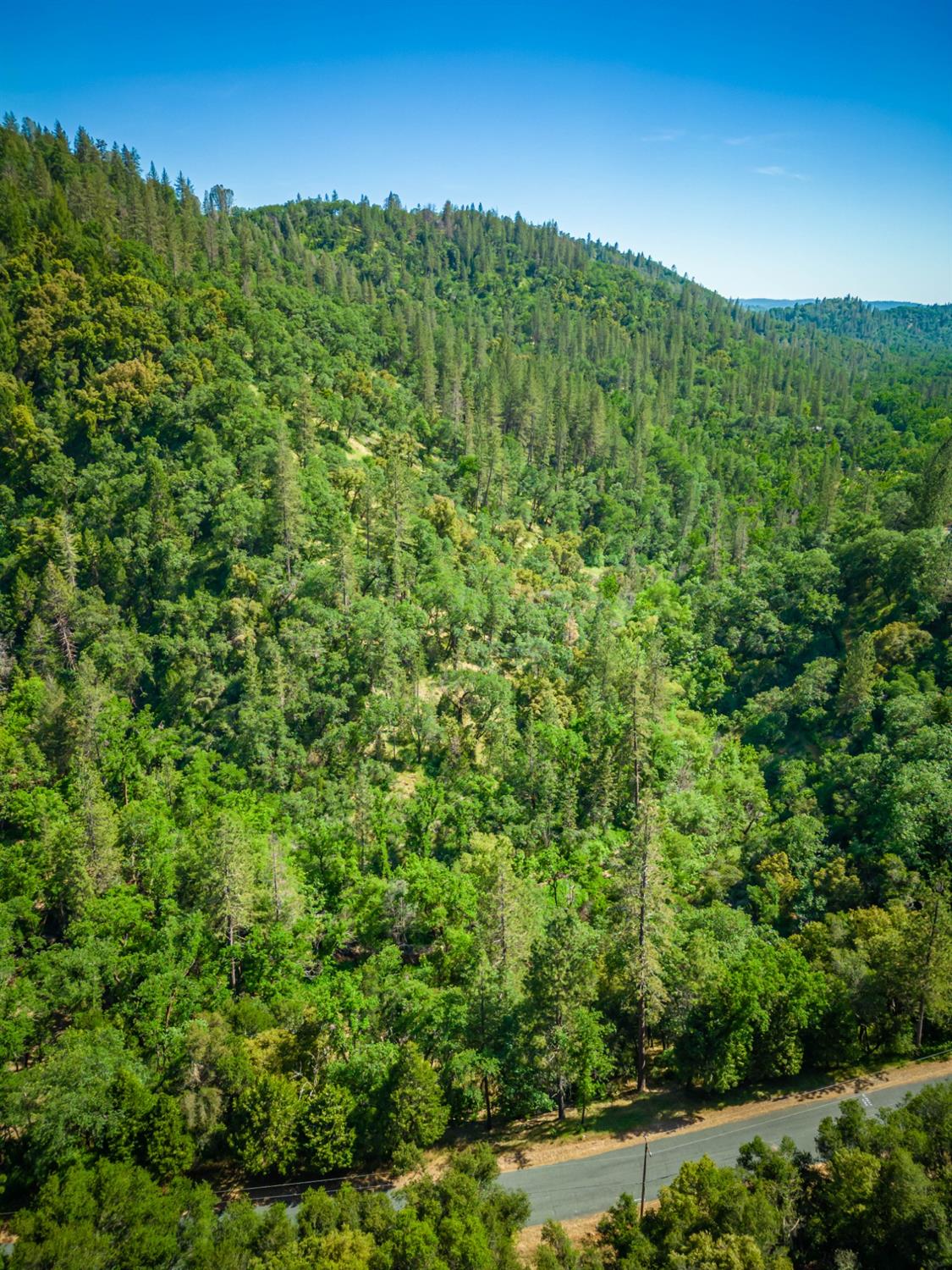 16111 Clover Valley Road Grass Valley, CA 95949 - Photo 15 of 71