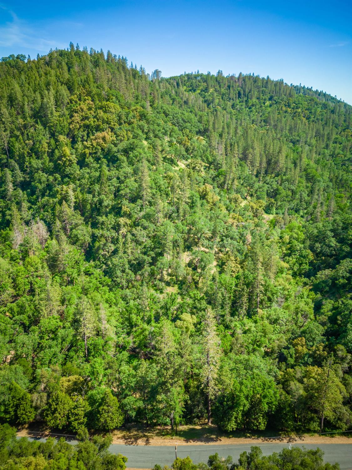 16111 Clover Valley Road Grass Valley, CA 95949 - Photo 16 of 71