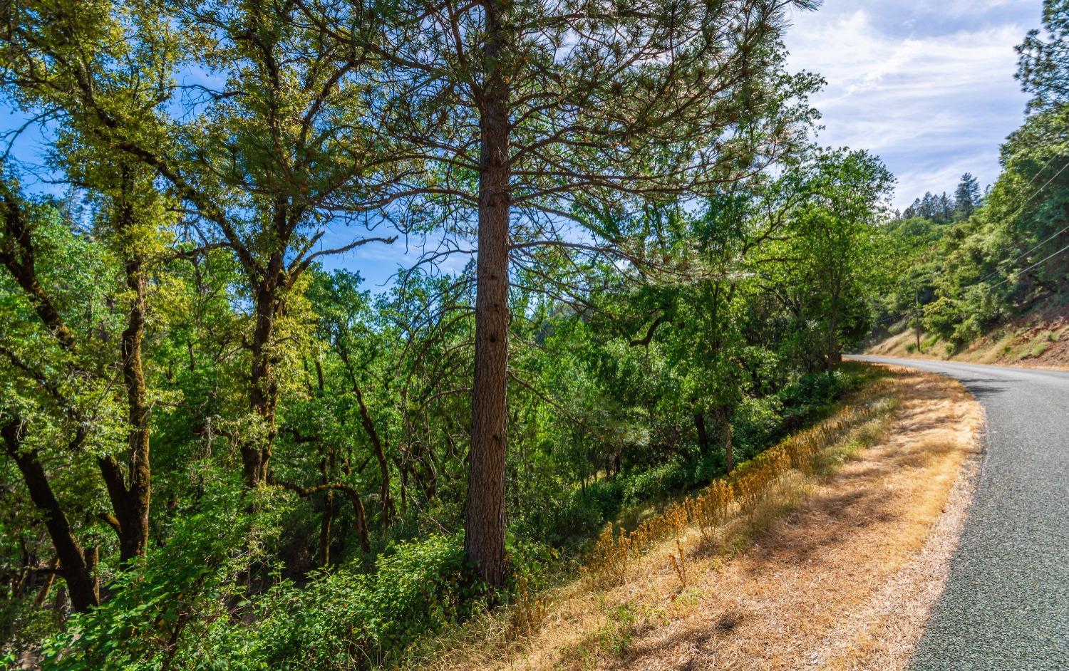 16111 Clover Valley Road Grass Valley, CA 95949 - Photo 57 of 71