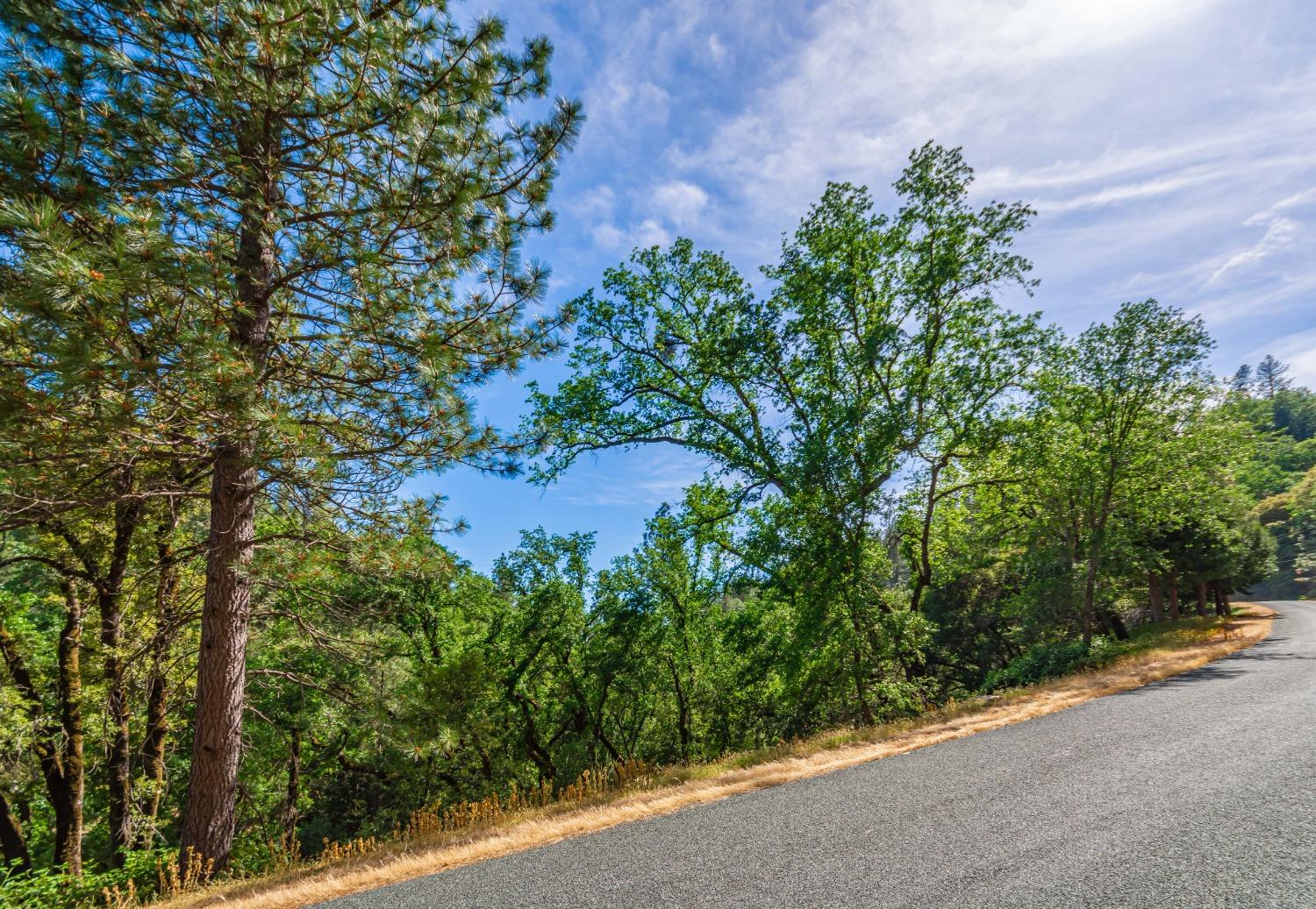 16111 Clover Valley Road Grass Valley, CA 95949 - Photo 58 of 71