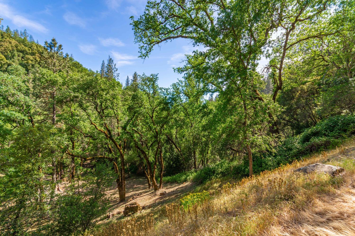 16111 Clover Valley Road Grass Valley, CA 95949 - Photo 59 of 71