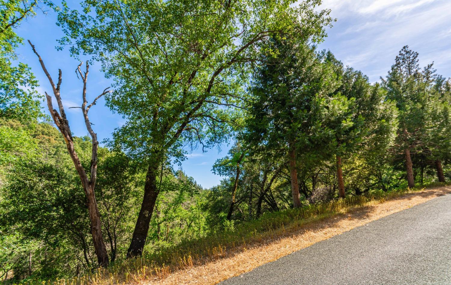 16111 Clover Valley Road Grass Valley, CA 95949 - Photo 60 of 71