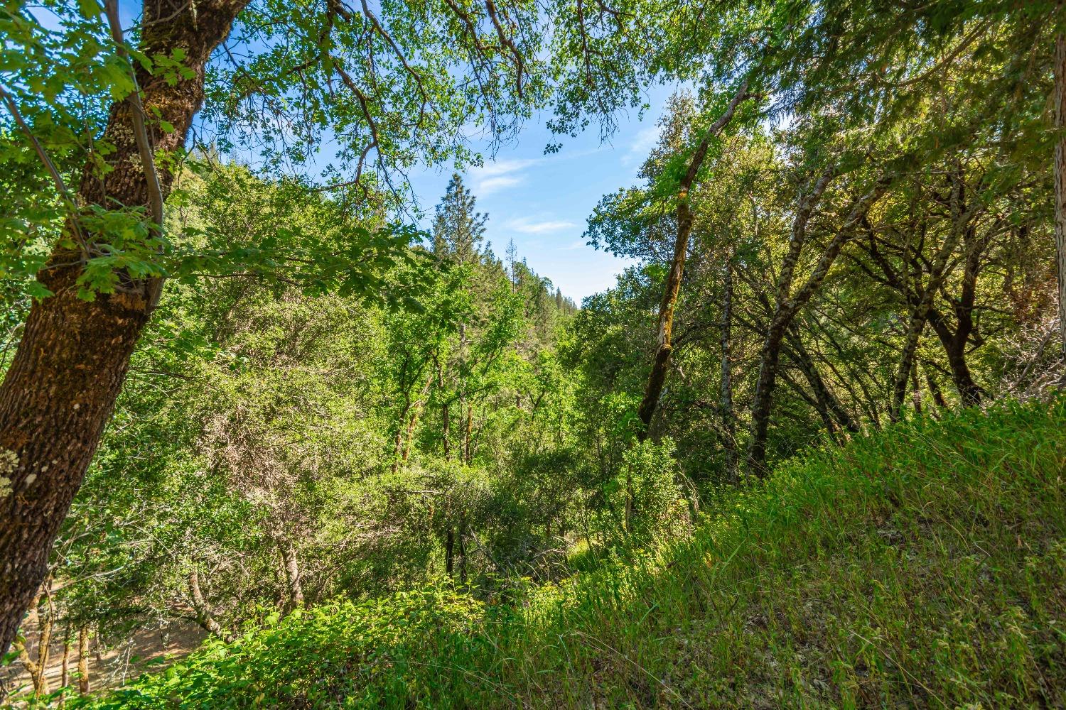 16111 Clover Valley Road Grass Valley, CA 95949 - Photo 61 of 71