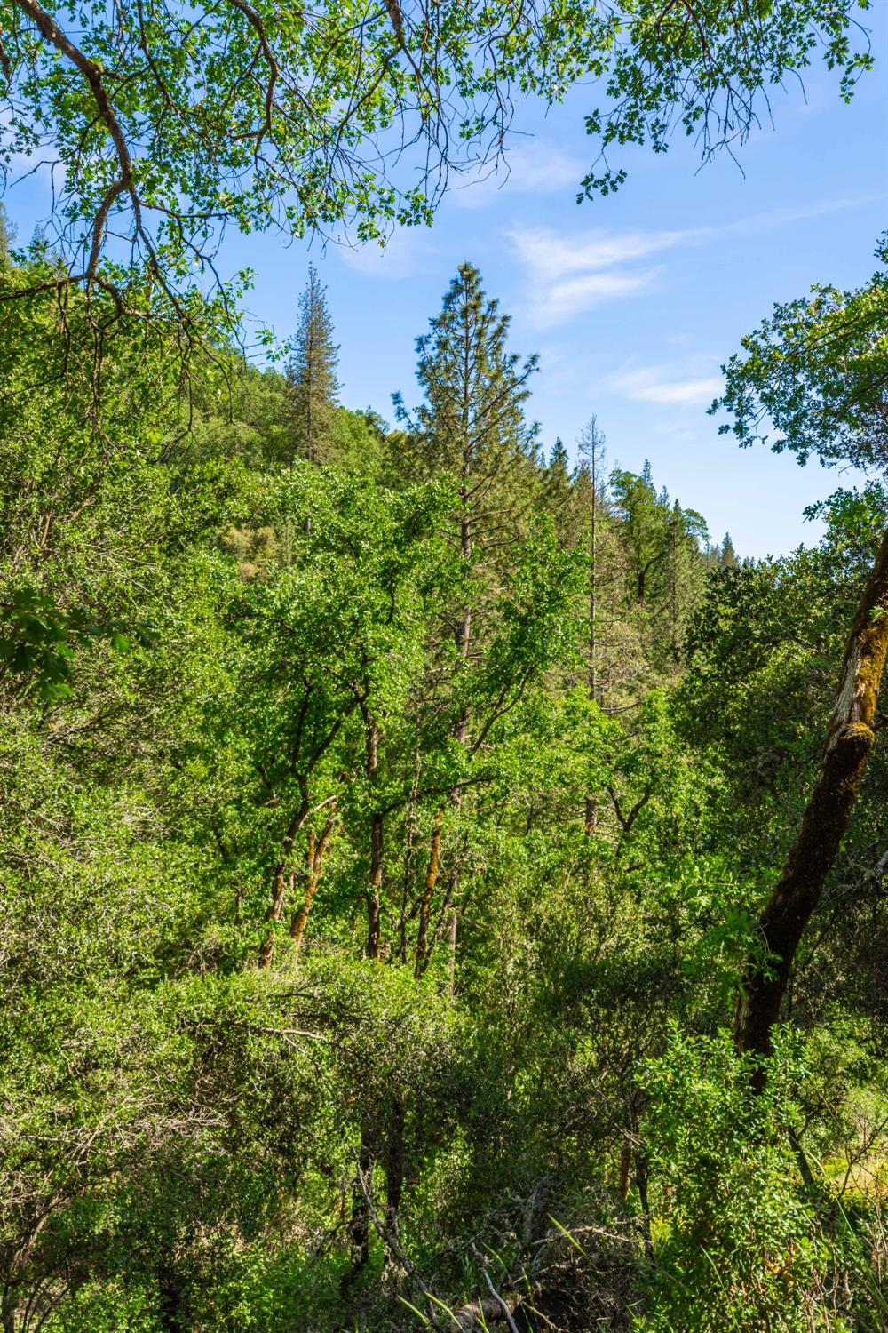 16111 Clover Valley Road Grass Valley, CA 95949 - Photo 62 of 71