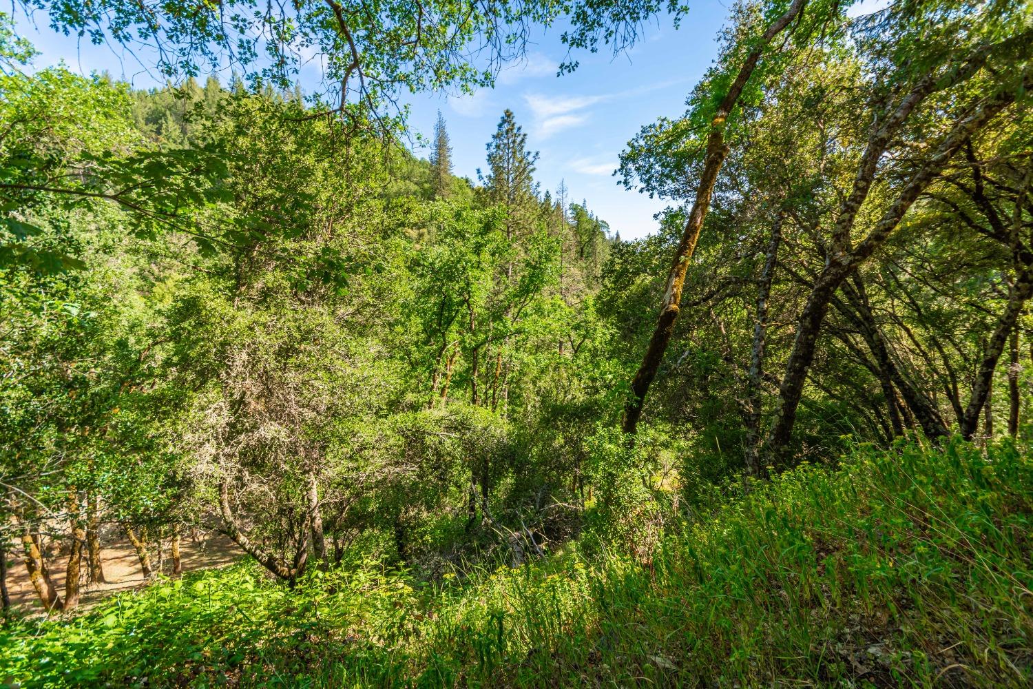 16111 Clover Valley Road Grass Valley, CA 95949 - Photo 63 of 71
