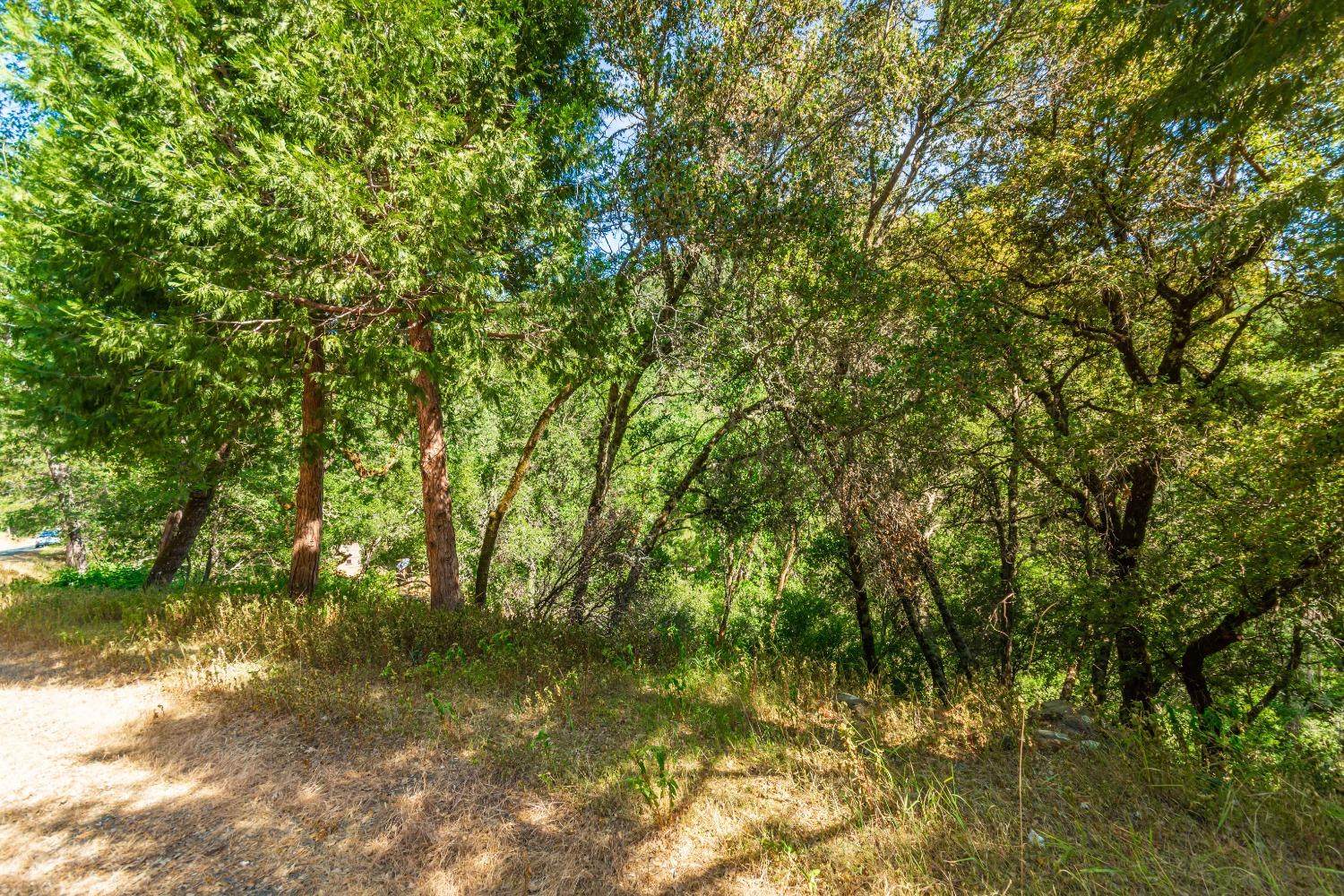 16111 Clover Valley Road Grass Valley, CA 95949 - Photo 64 of 71