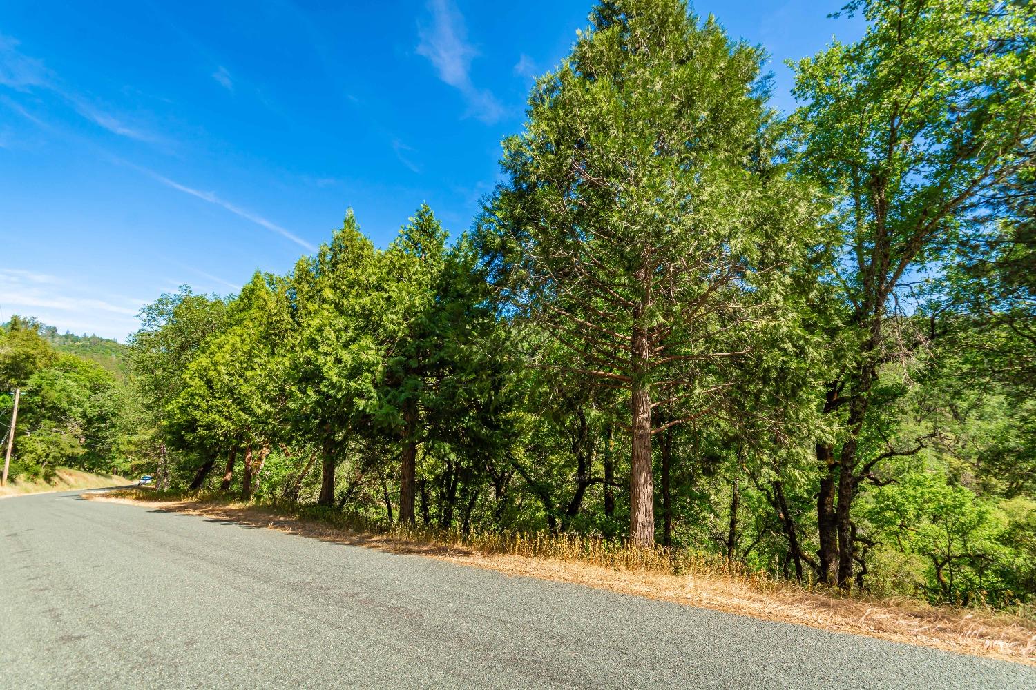 16111 Clover Valley Road Grass Valley, CA 95949 - Photo 66 of 71