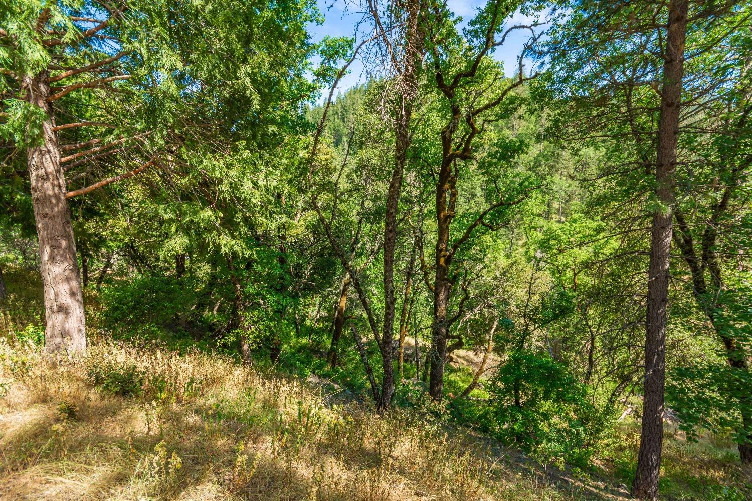 16111 Clover Valley Road Grass Valley, CA 95949 - Photo 67 of 71