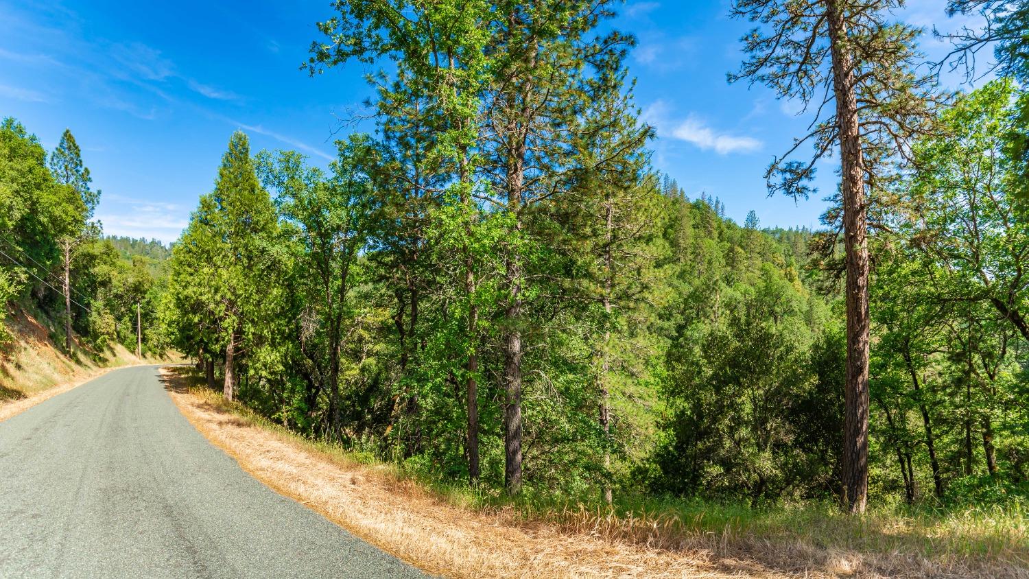 16111 Clover Valley Road Grass Valley, CA 95949 - Photo 68 of 71