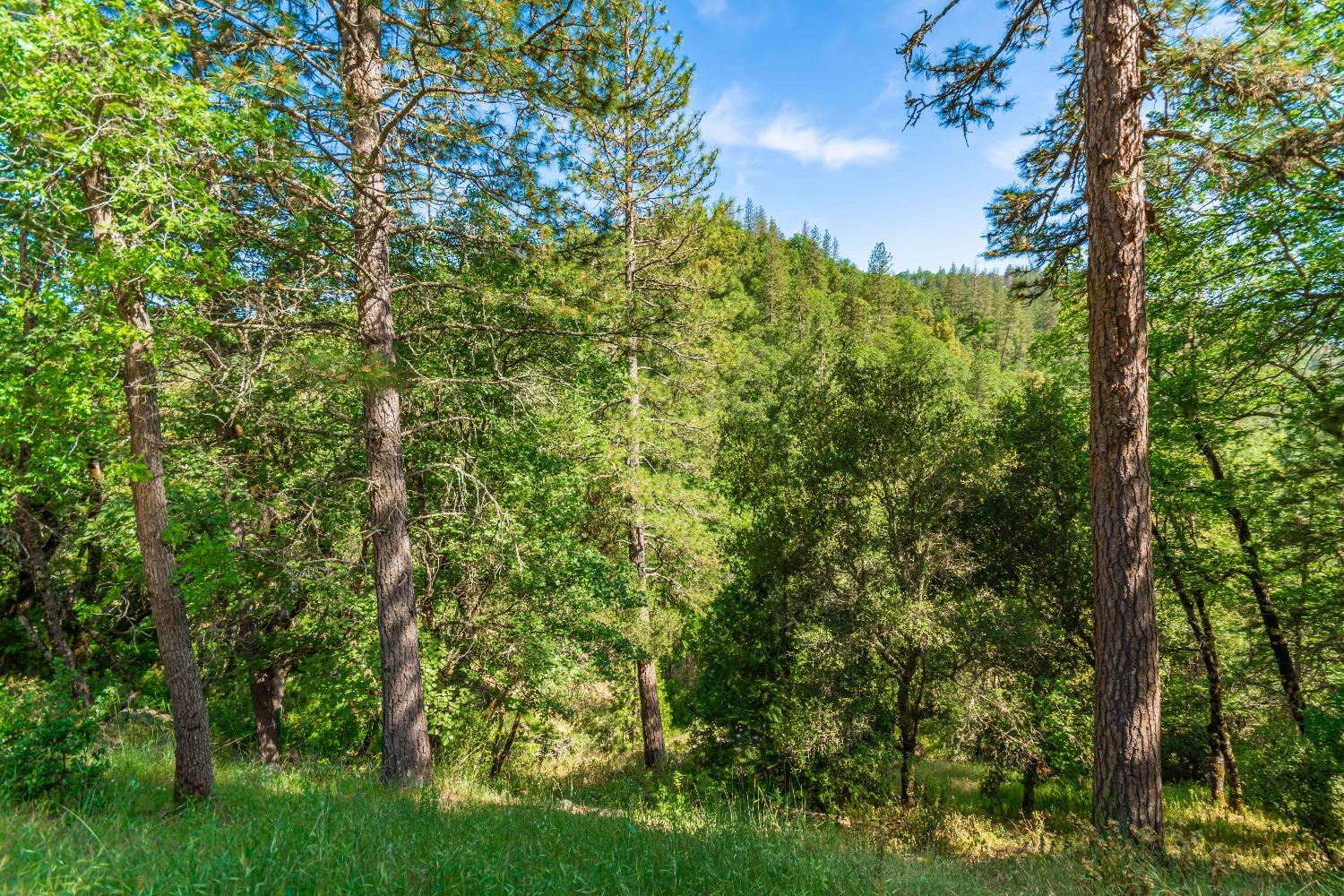 16111 Clover Valley Road Grass Valley, CA 95949 - Photo 70 of 71