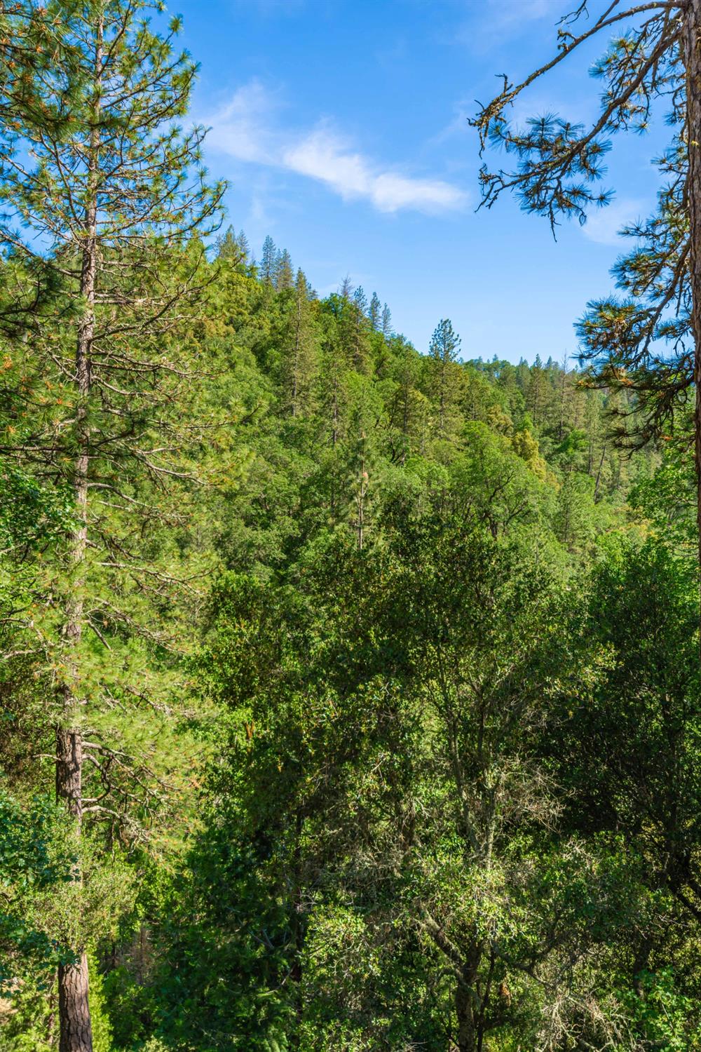 16111 Clover Valley Road Grass Valley, CA 95949 - Photo 71 of 71