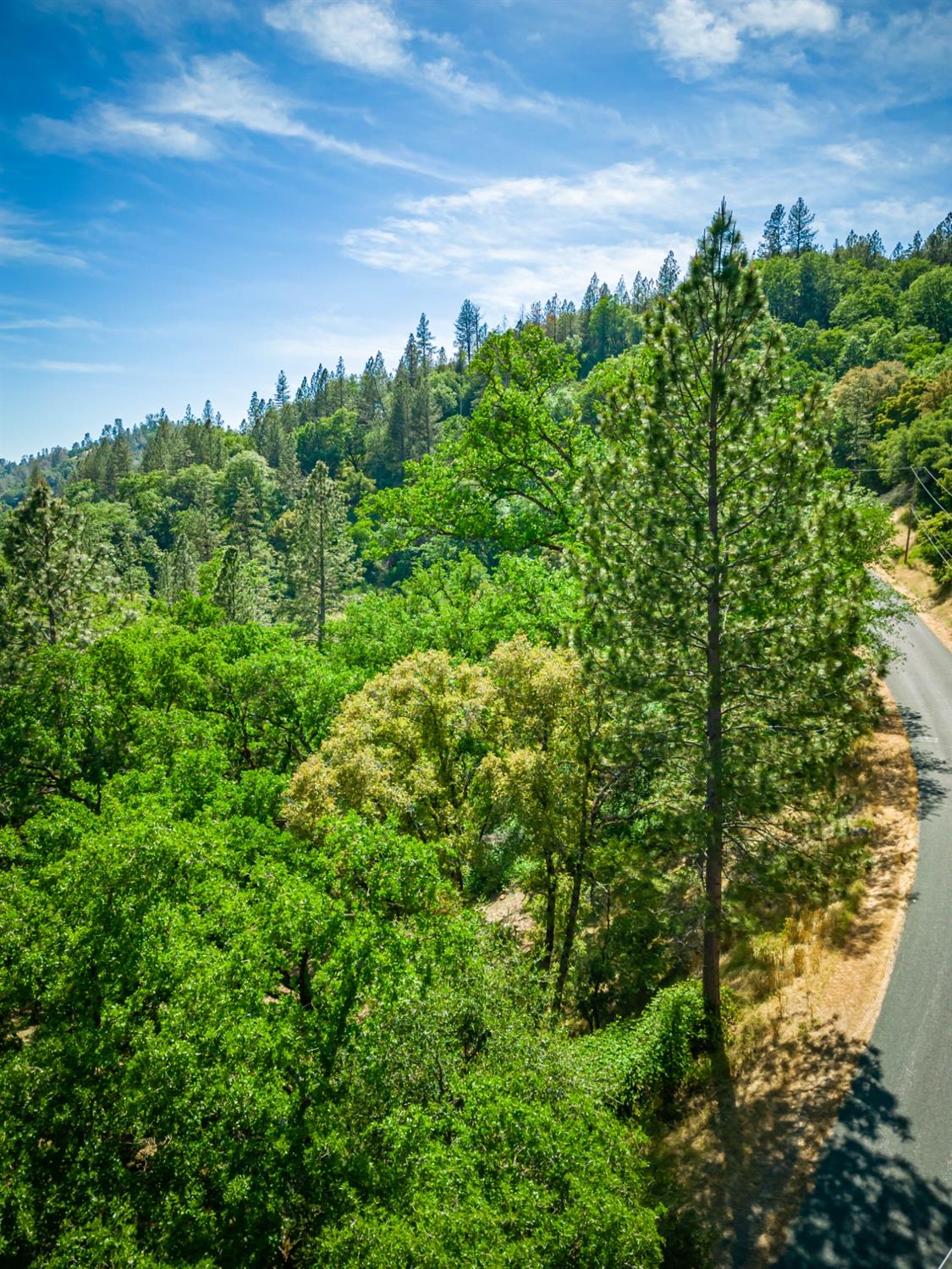 16111 Clover Valley Road Grass Valley, CA 95949 - Photo 8 of 71