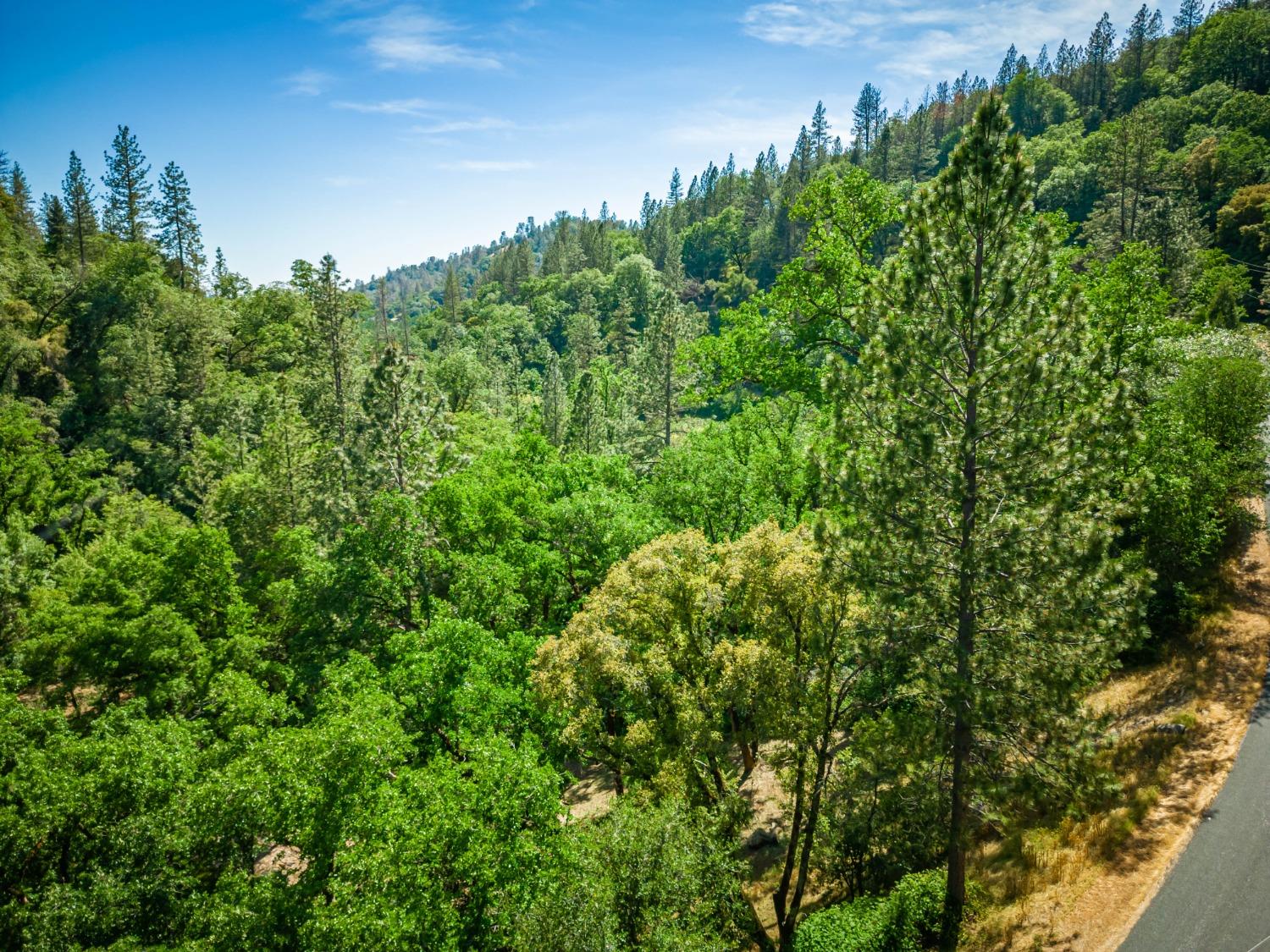 16111 Clover Valley Road Grass Valley, CA 95949 - Photo 9 of 71