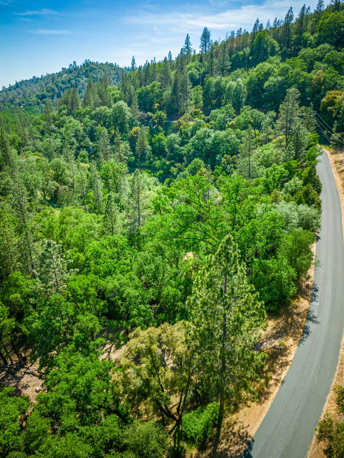 16111 Clover Valley Road Grass Valley, CA 95949 - Photo 10 of 71