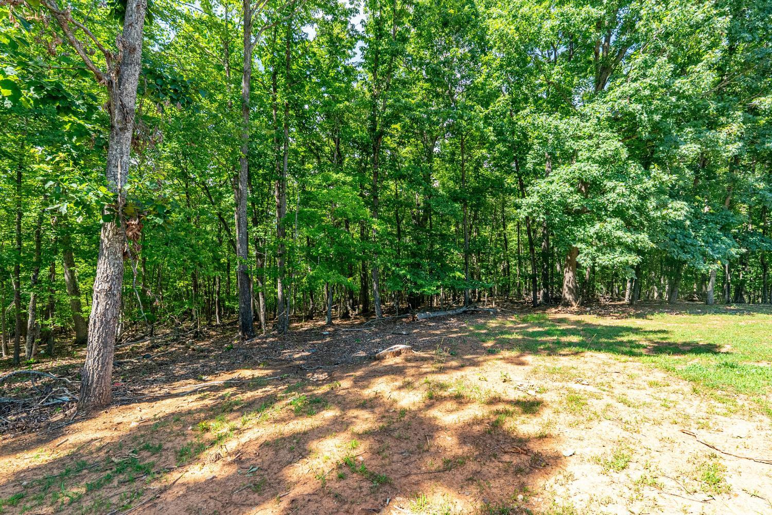 3237 Dearborn Road Evington, VA 24550 - Photo 36 of 47