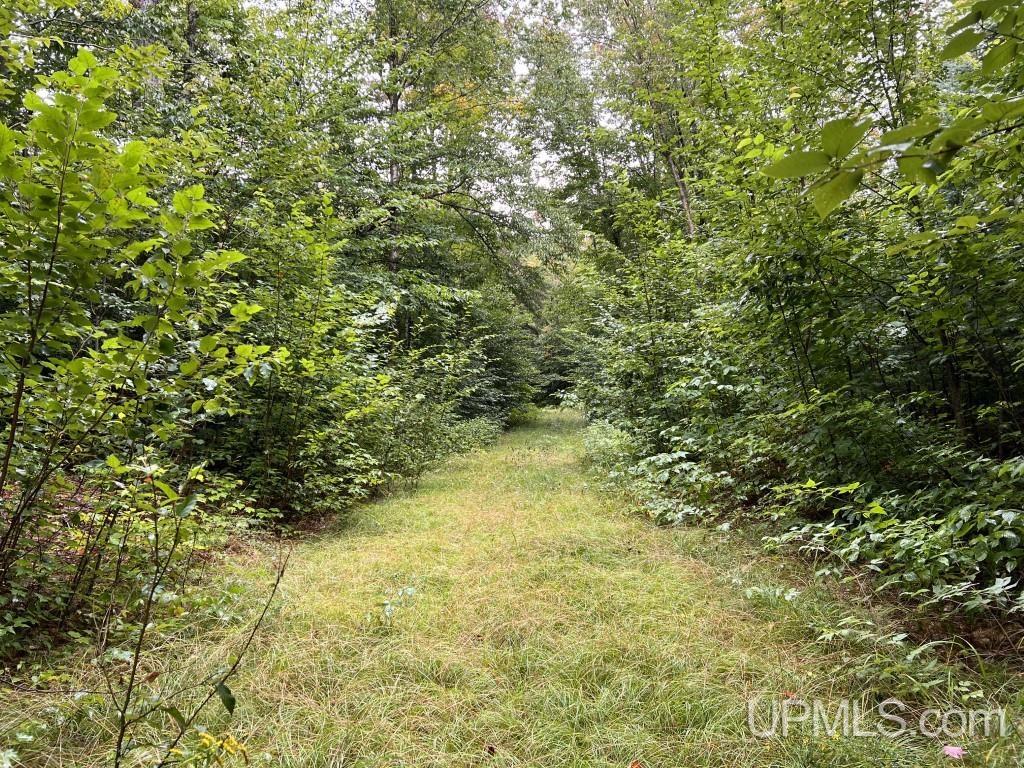 454 Creighton Trail Road Shingleton, MI 49884 - Photo 14 of 26