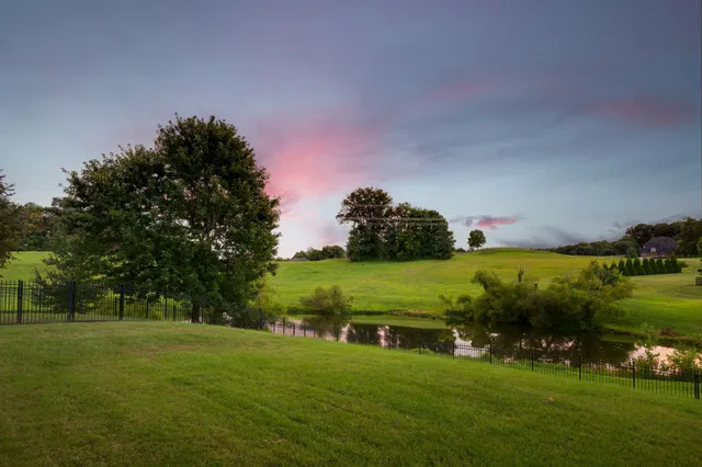 a view of a big yard with large trees
