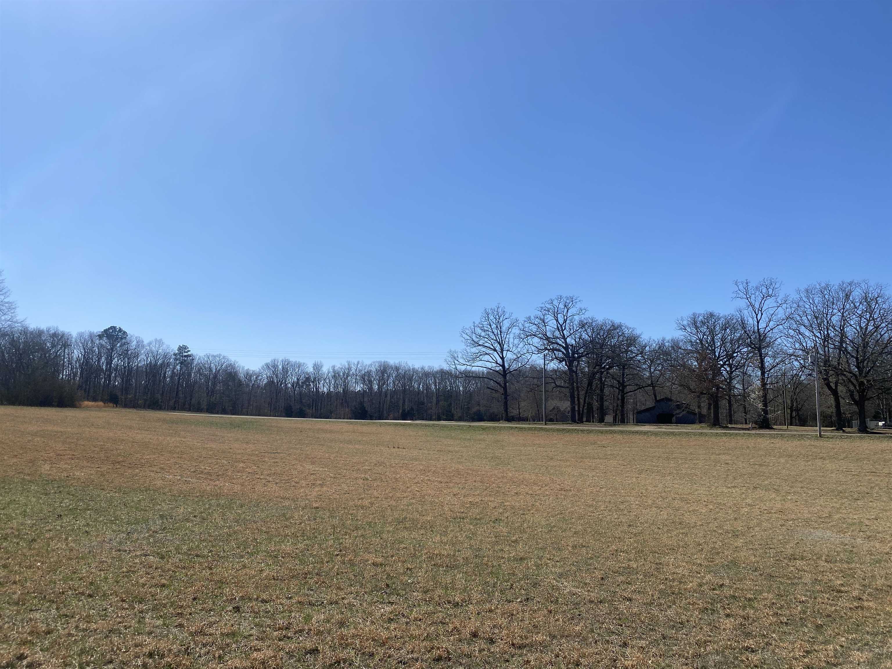 a view of a field with a tree in the background