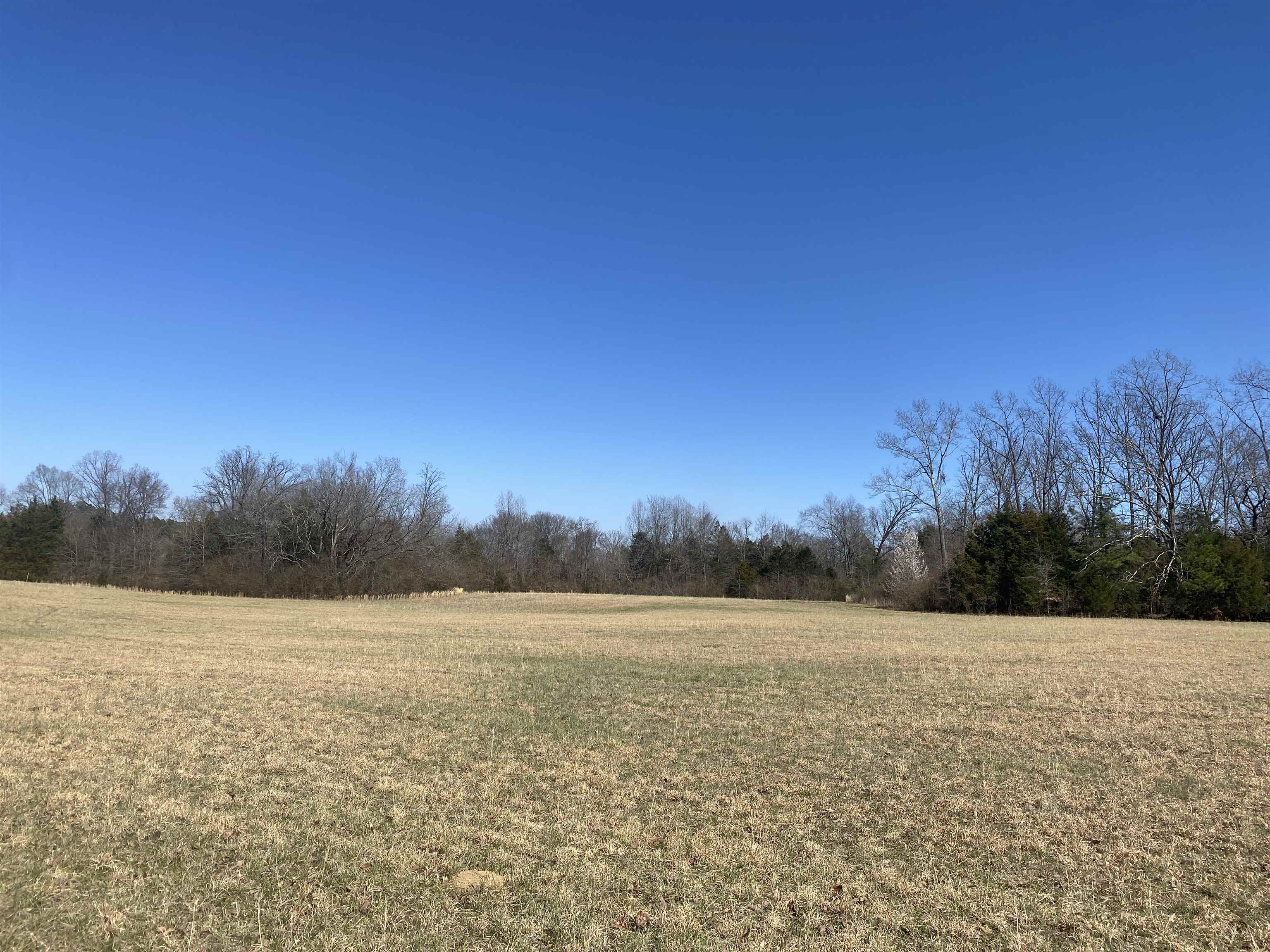 0 Seay Road Adamsville, TN 38310 - Photo 12 of 35 a view of a field with an ocean