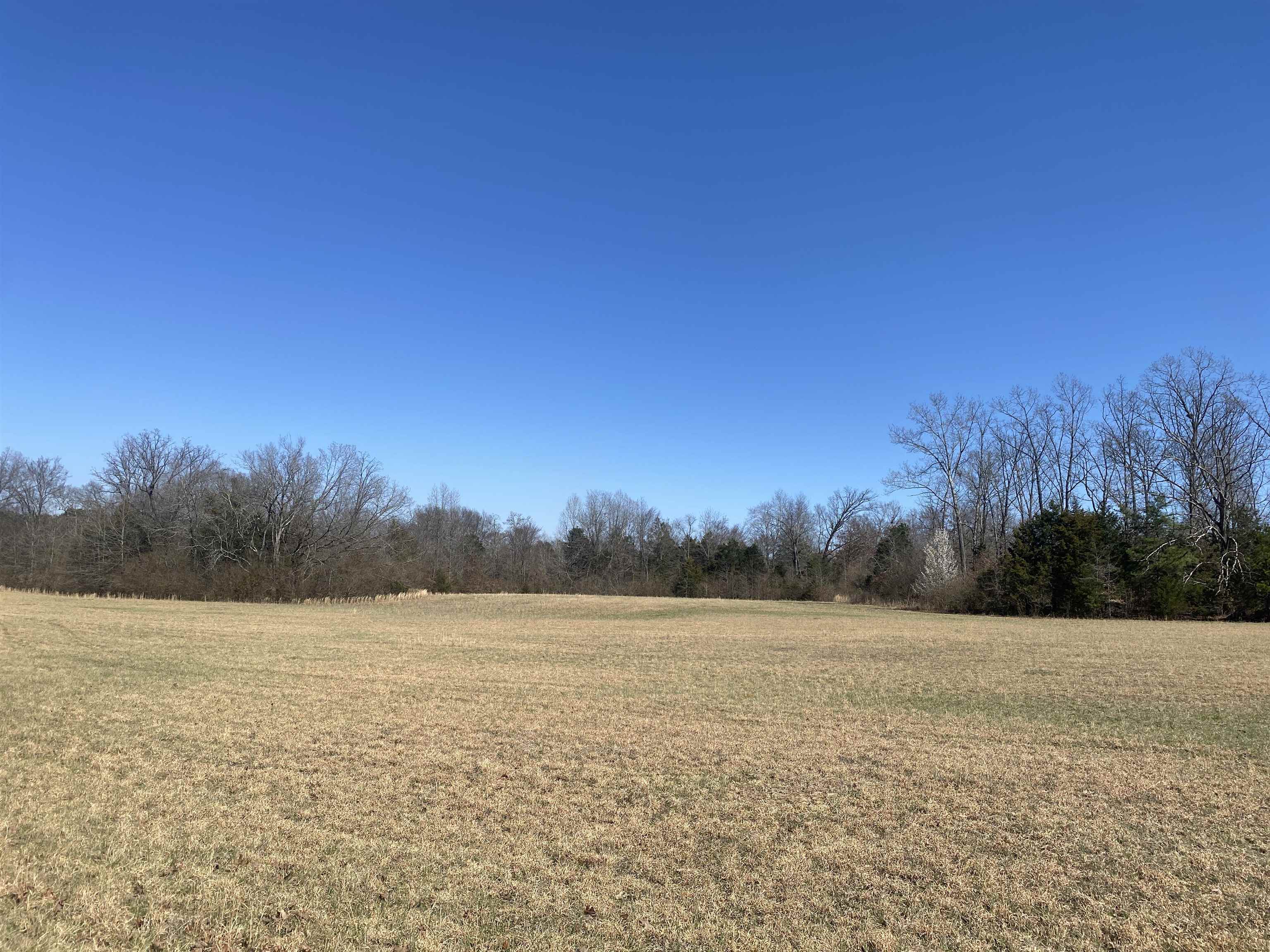 0 Seay Road Adamsville, TN 38310 - Photo 13 of 35 a view of a field with an ocean