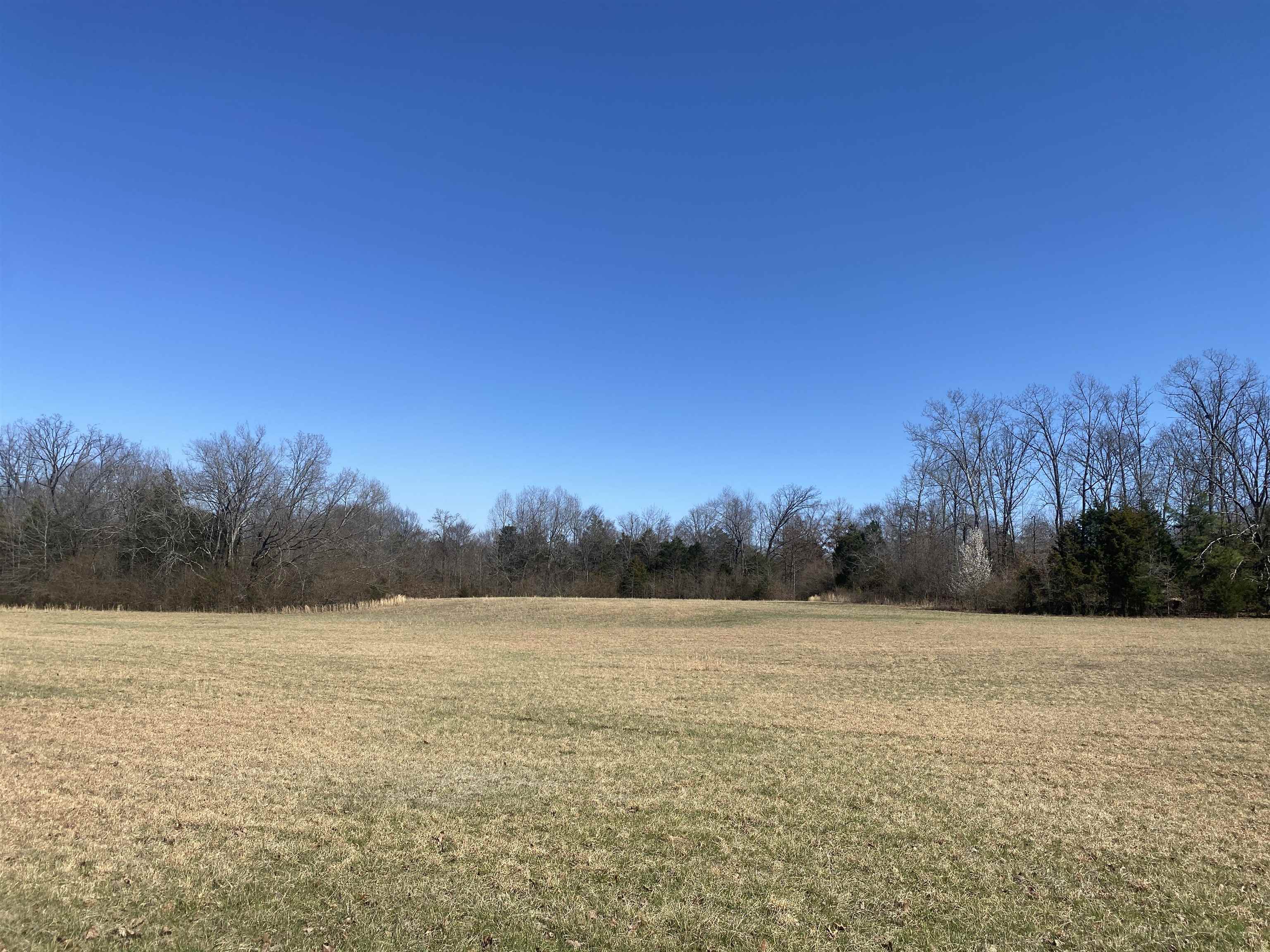 0 Seay Road Adamsville, TN 38310 - Photo 14 of 35 a view of a field with trees in the background