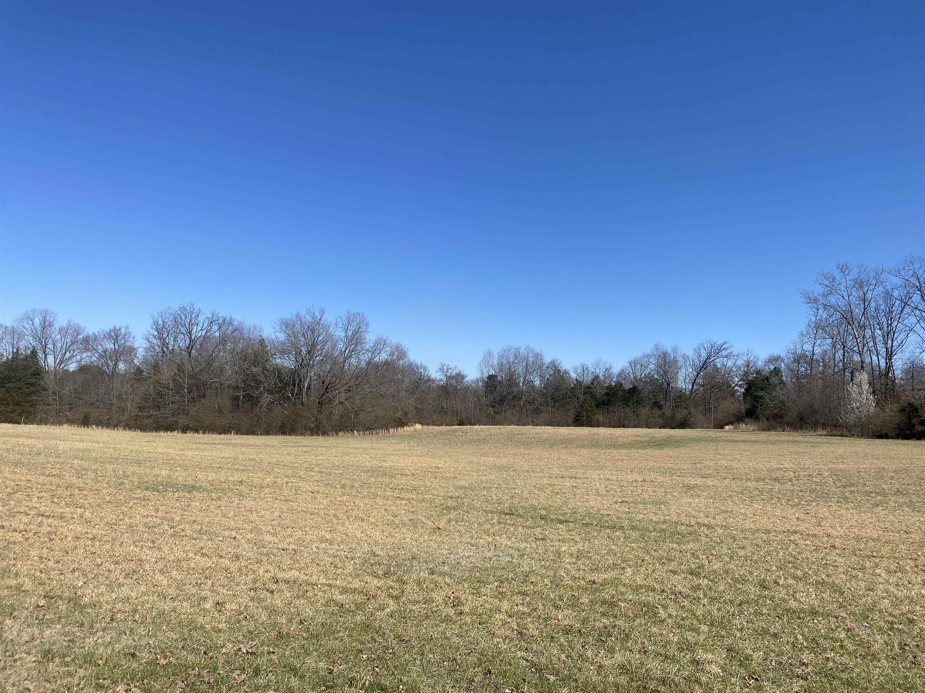 0 Seay Road Adamsville, TN 38310 - Photo 15 of 35 a view of a lake view and mountain view