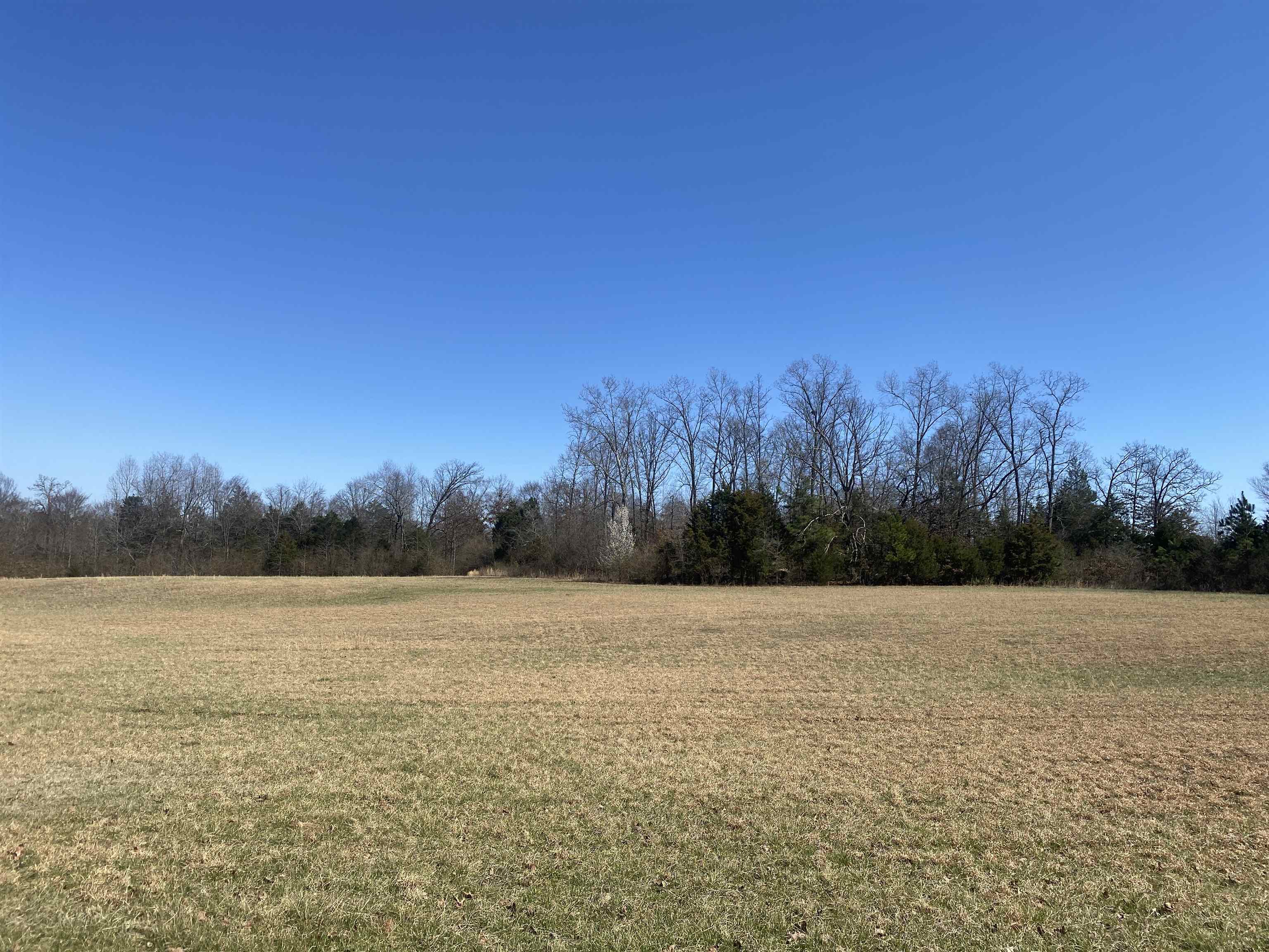 0 Seay Road Adamsville, TN 38310 - Photo 16 of 35 a view of outside space and mountain view