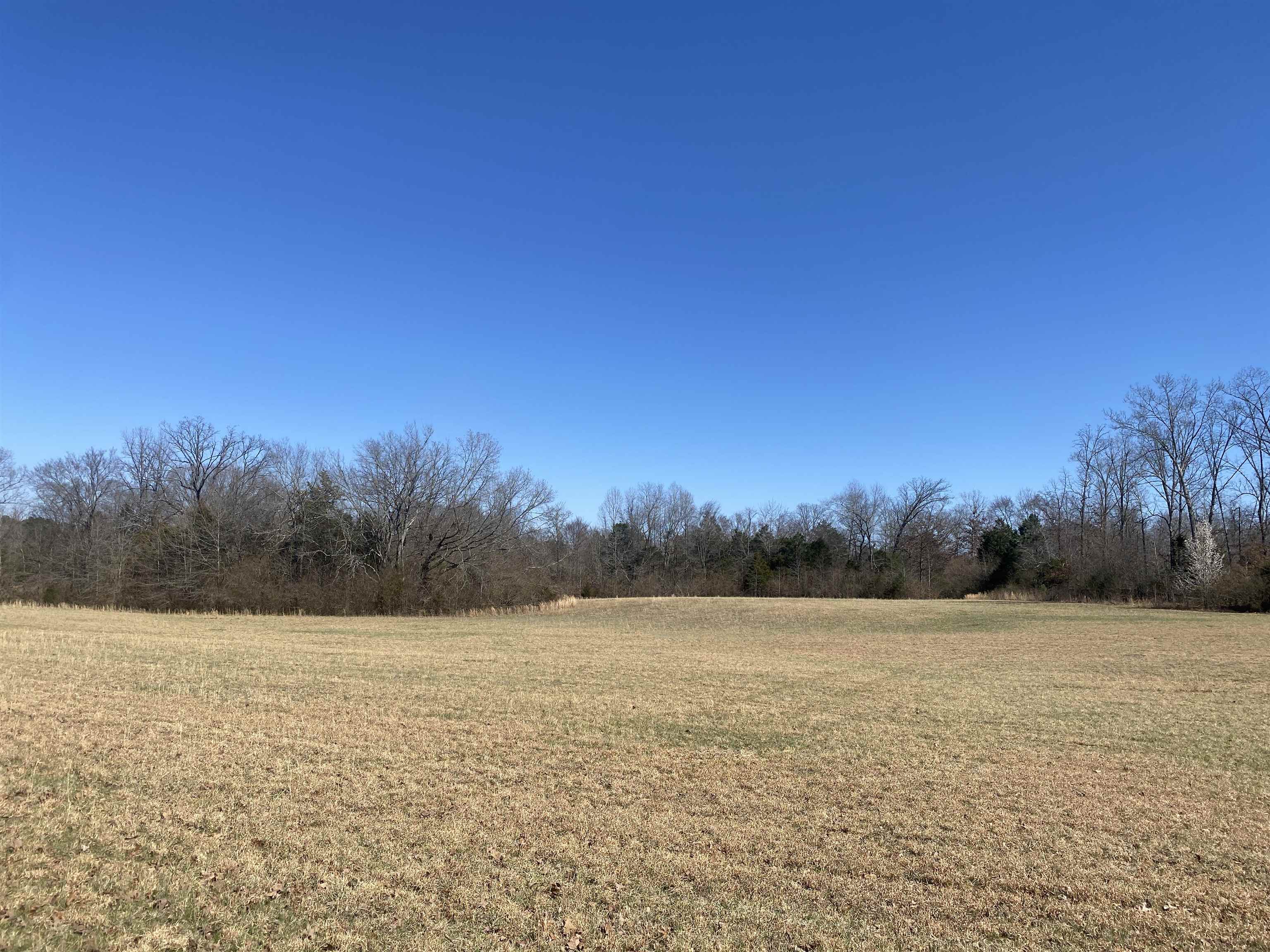 0 Seay Road Adamsville, TN 38310 - Photo 17 of 35 a view of a field with trees in the background
