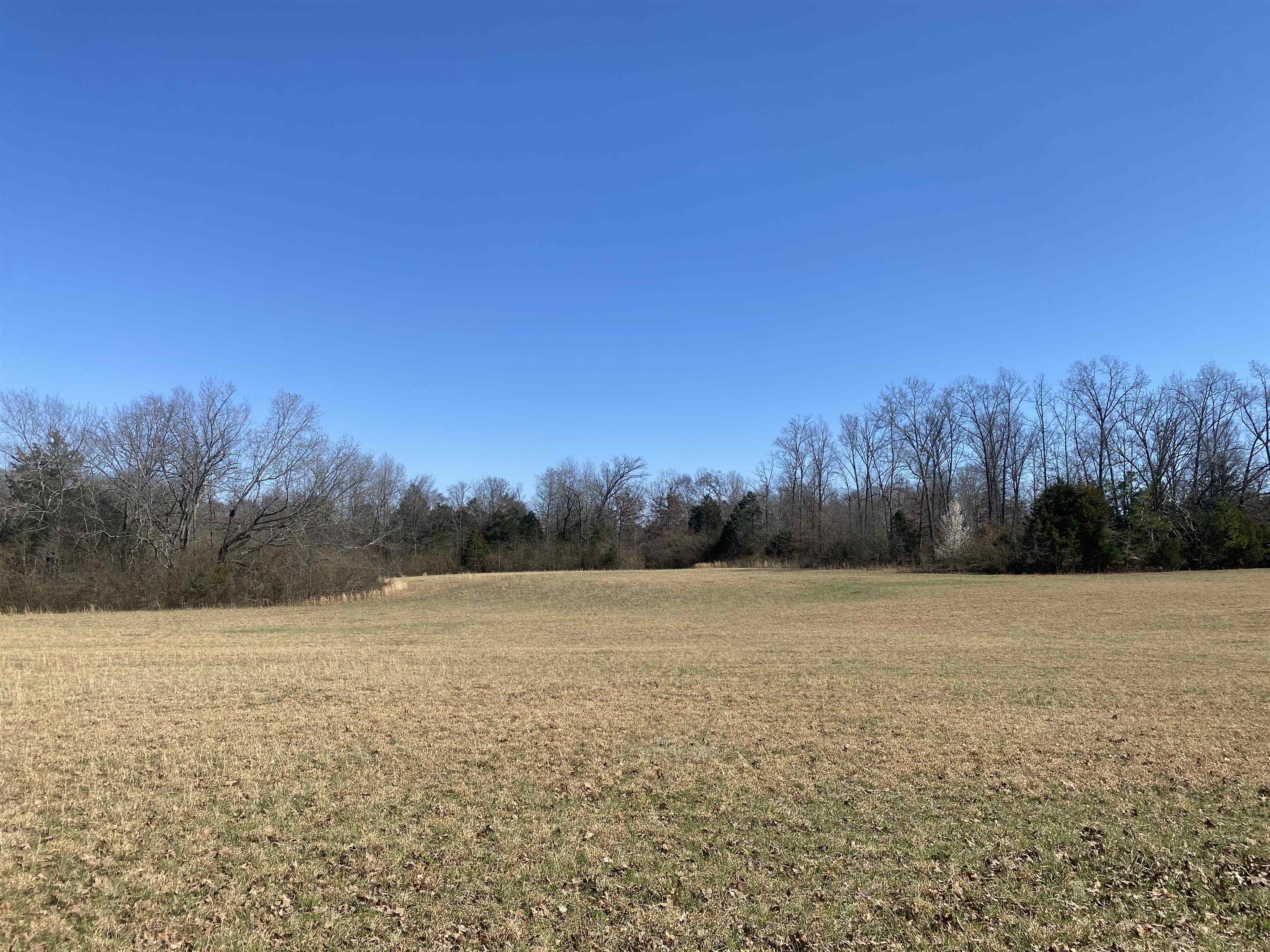 0 Seay Road Adamsville, TN 38310 - Photo 19 of 35 a view of patio and mountain in the back