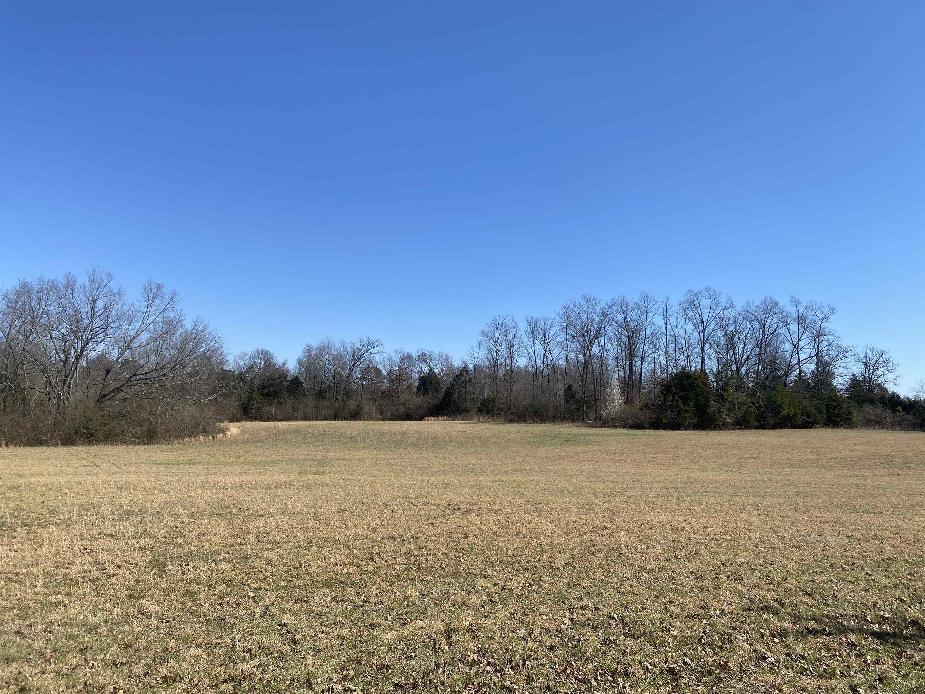 0 Seay Road Adamsville, TN 38310 - Photo 20 of 35 a view of patio and trees