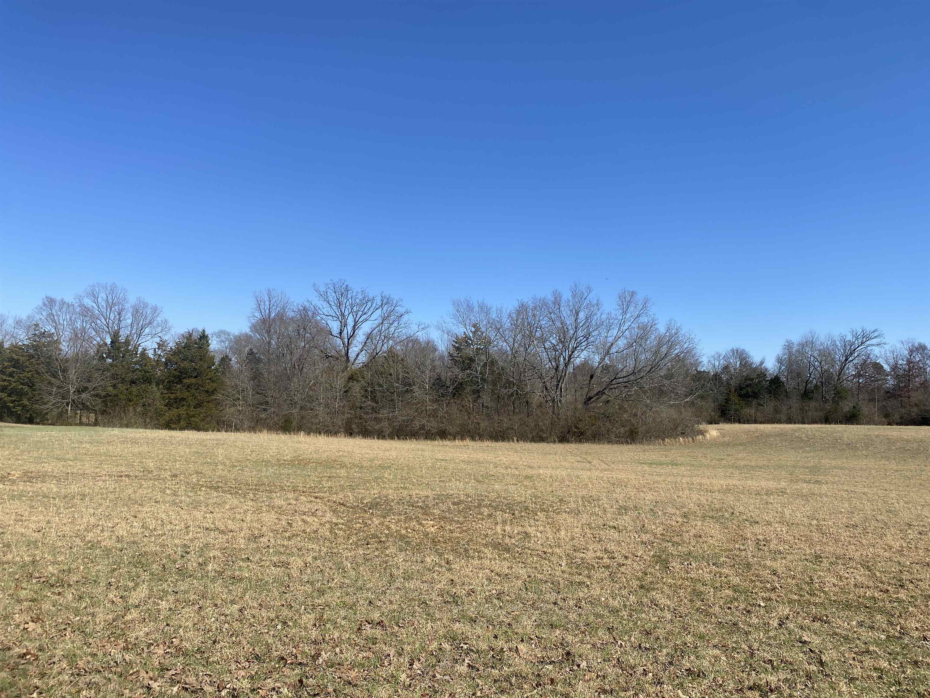 0 Seay Road Adamsville, TN 38310 - Photo 21 of 35 a view of patio and mountain view