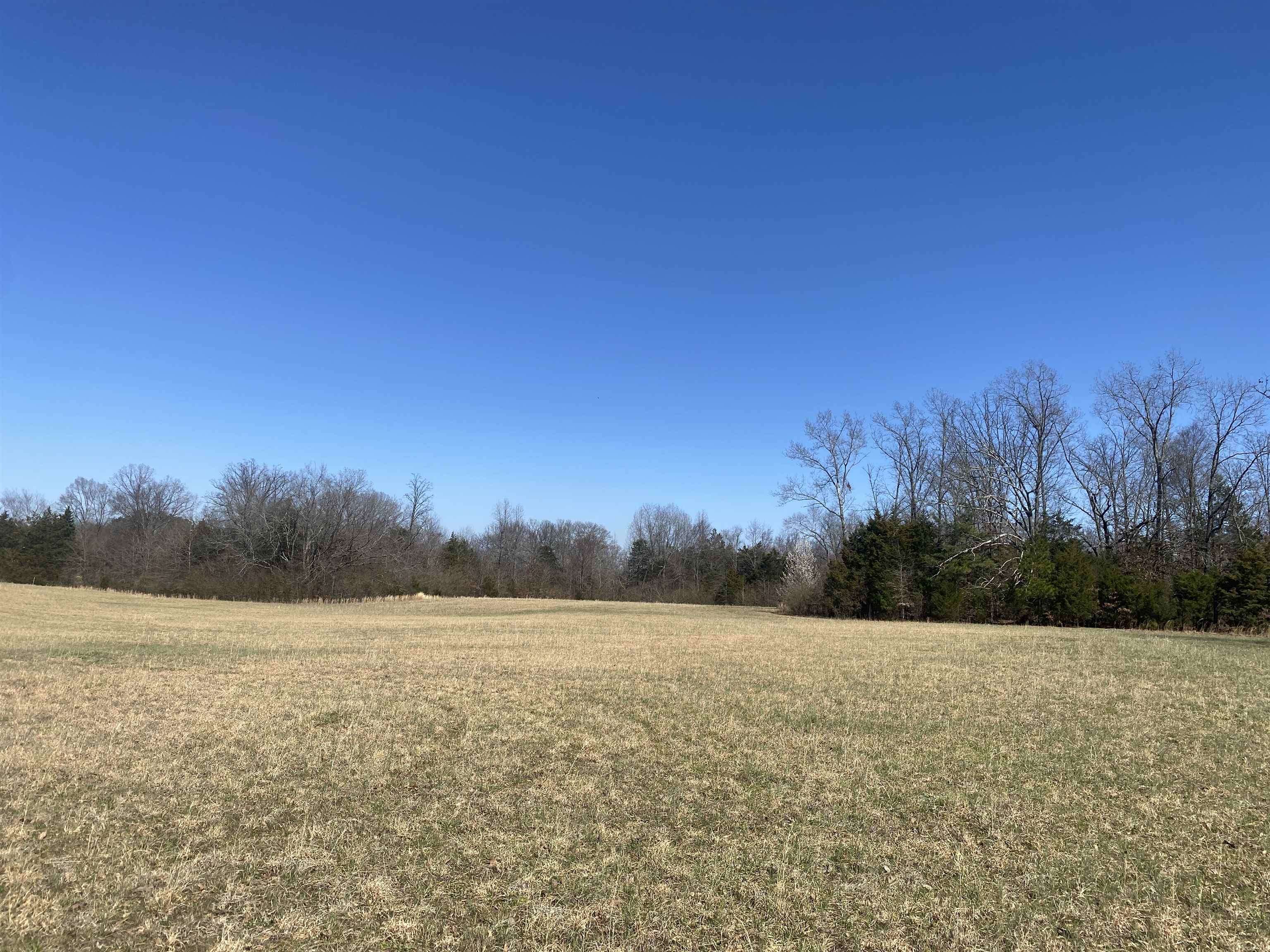 0 Seay Road Adamsville, TN 38310 - Photo 23 of 35 a view of a field with trees in background