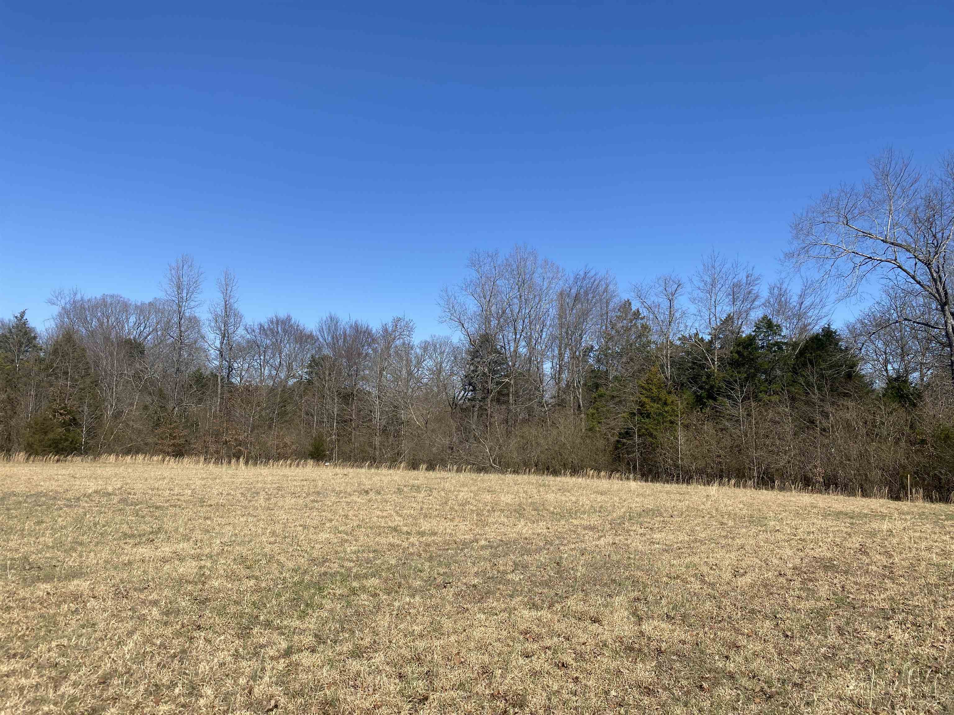 0 Seay Road Adamsville, TN 38310 - Photo 27 of 35 a view of a yard covered with snow