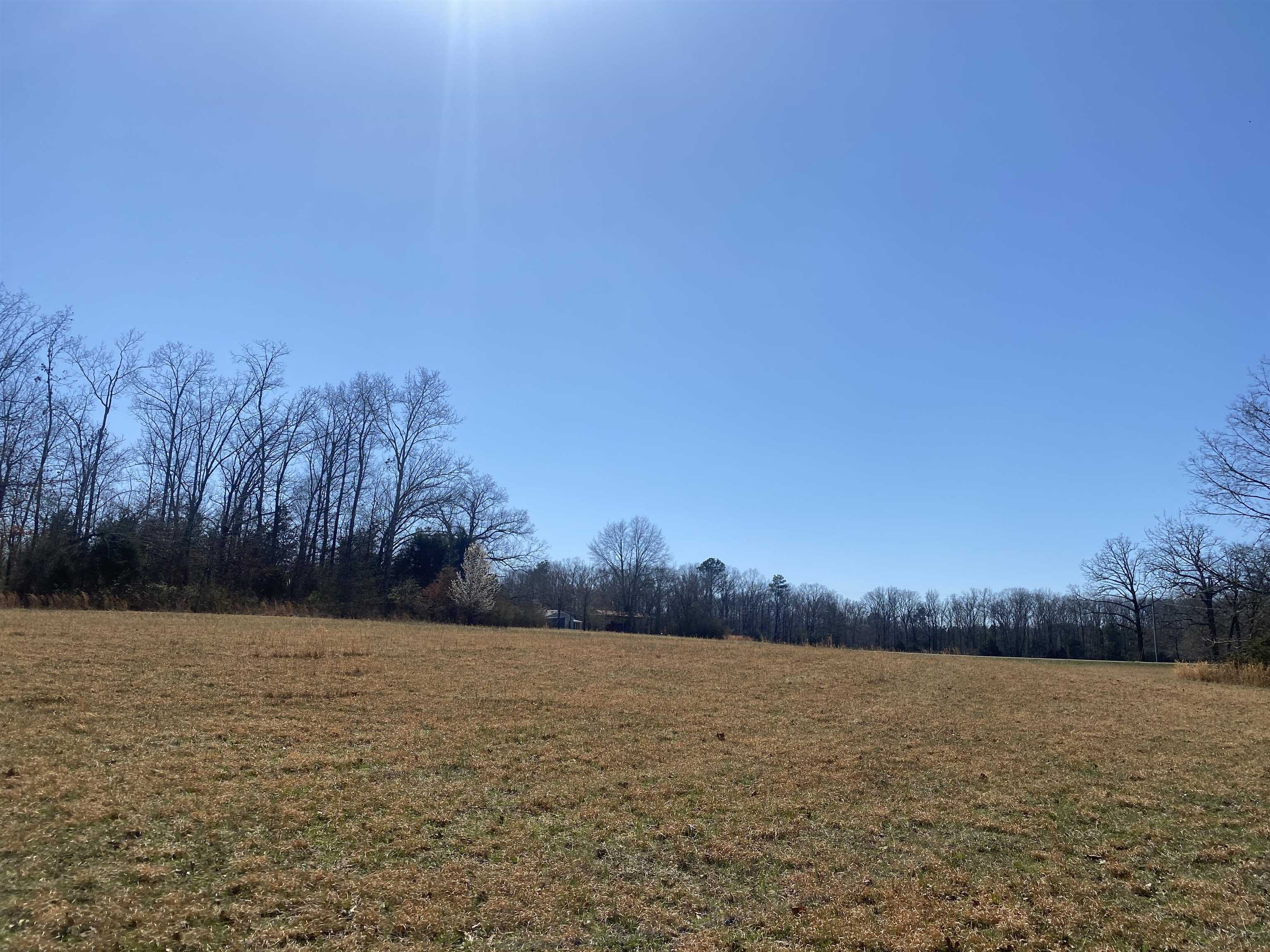 0 Seay Road Adamsville, TN 38310 - Photo 28 of 35 a view of lake and mountain