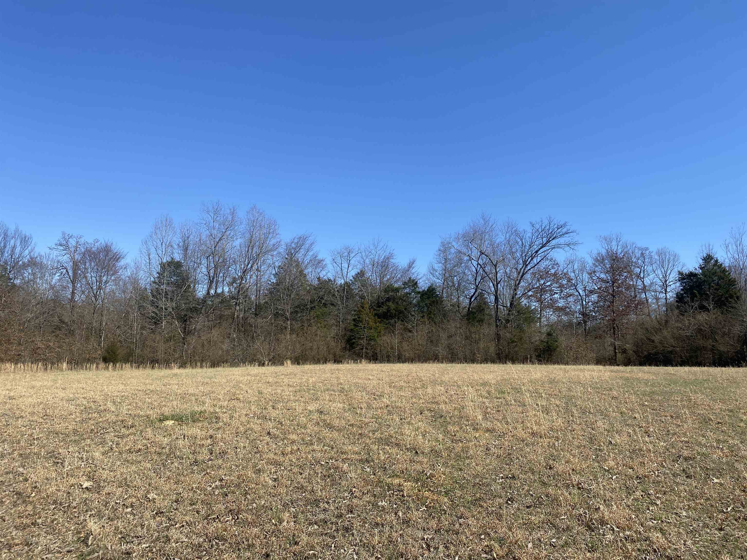 0 Seay Road Adamsville, TN 38310 - Photo 29 of 35 a view of snow covered with snow