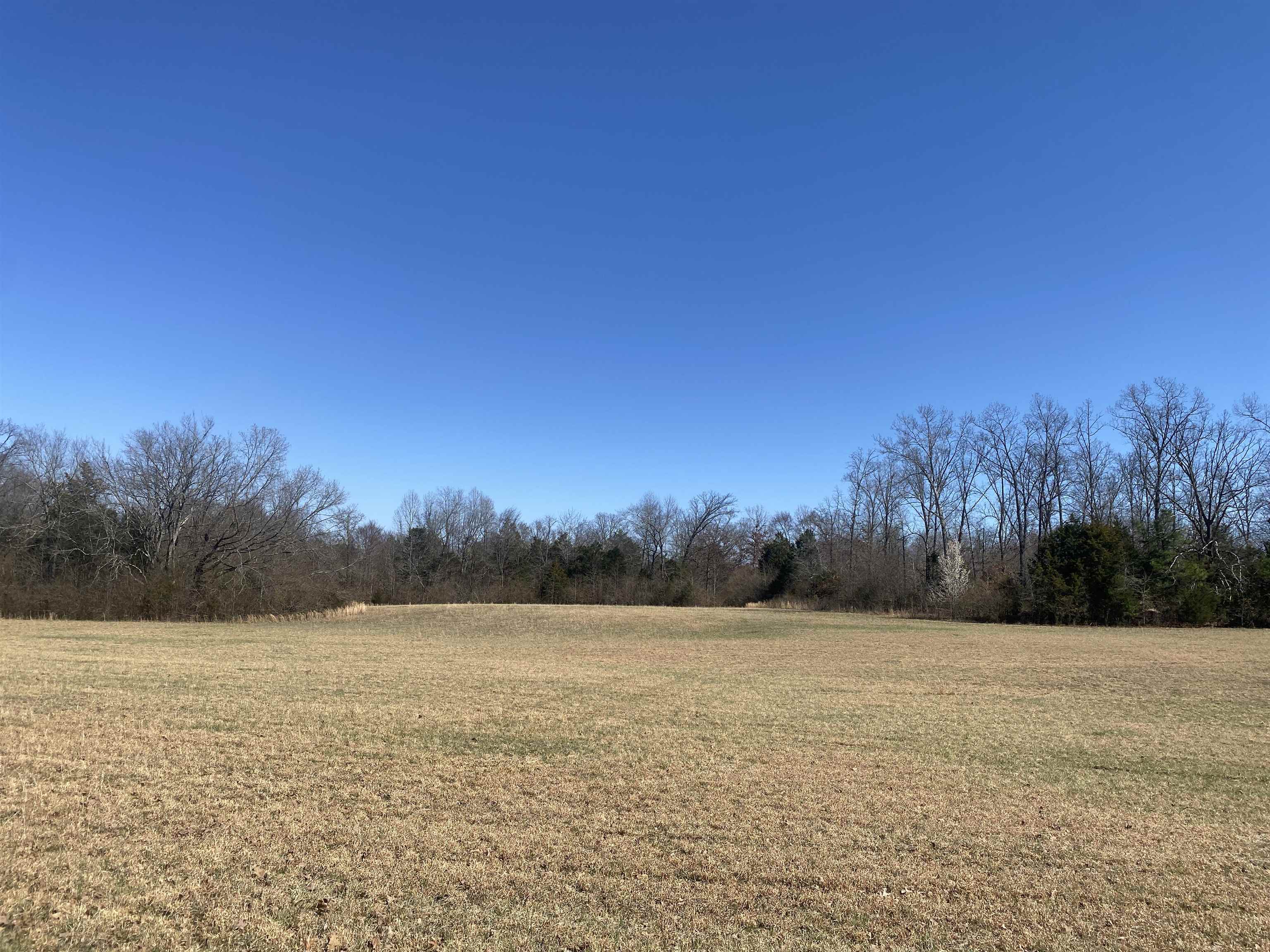 0 Seay Road Adamsville, TN 38310 - Photo 3 of 35 a view of mountain with a lake