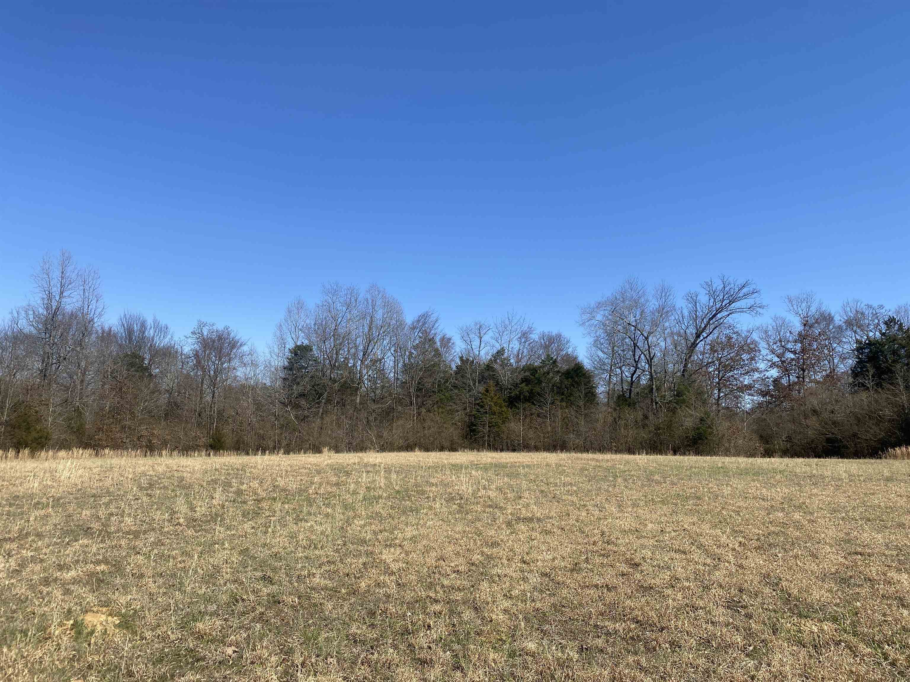 0 Seay Road Adamsville, TN 38310 - Photo 31 of 35 a view of outdoor space and a yard