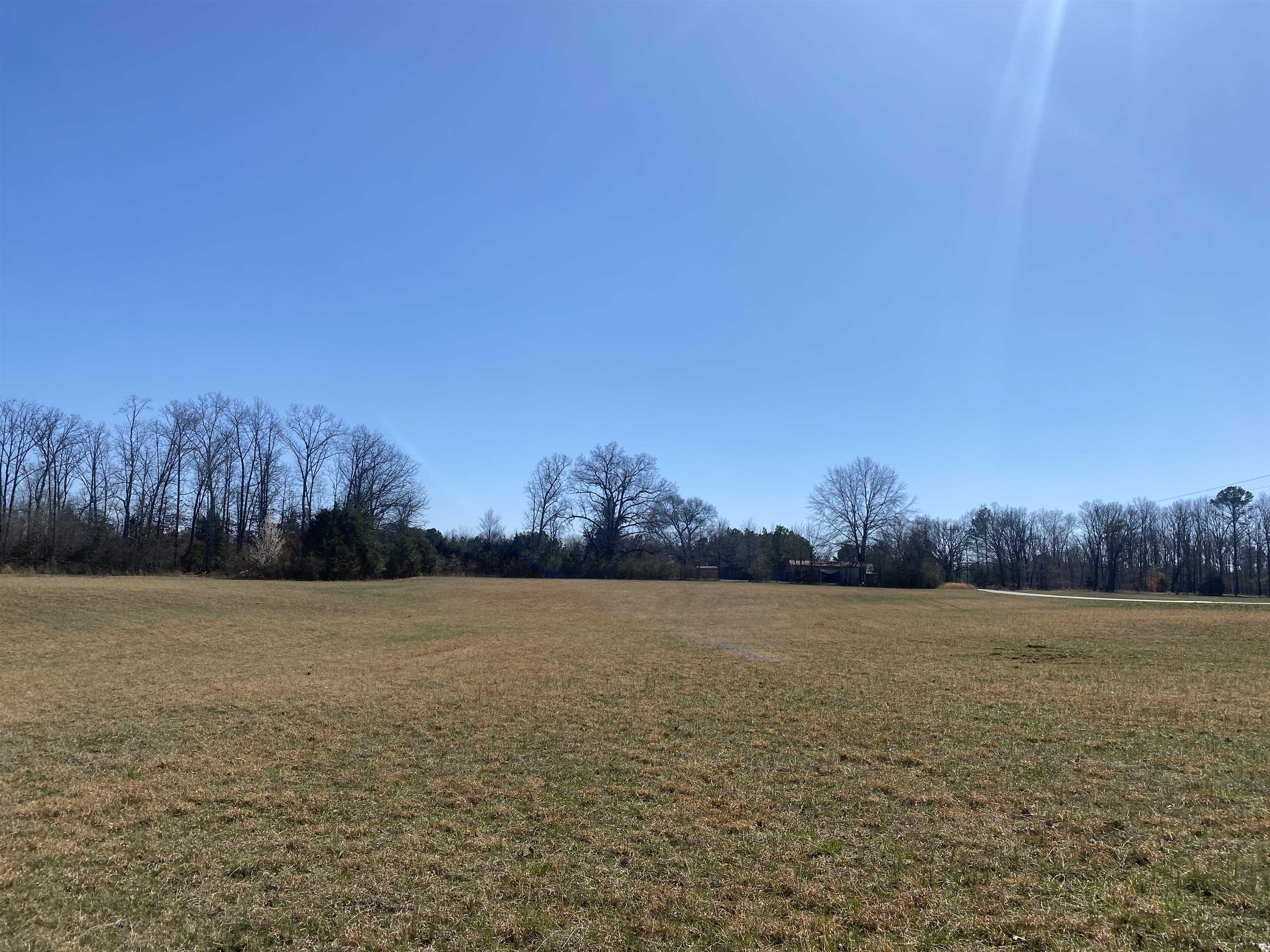 0 Seay Road Adamsville, TN 38310 - Photo 34 of 35 a view of yard and trees in the background