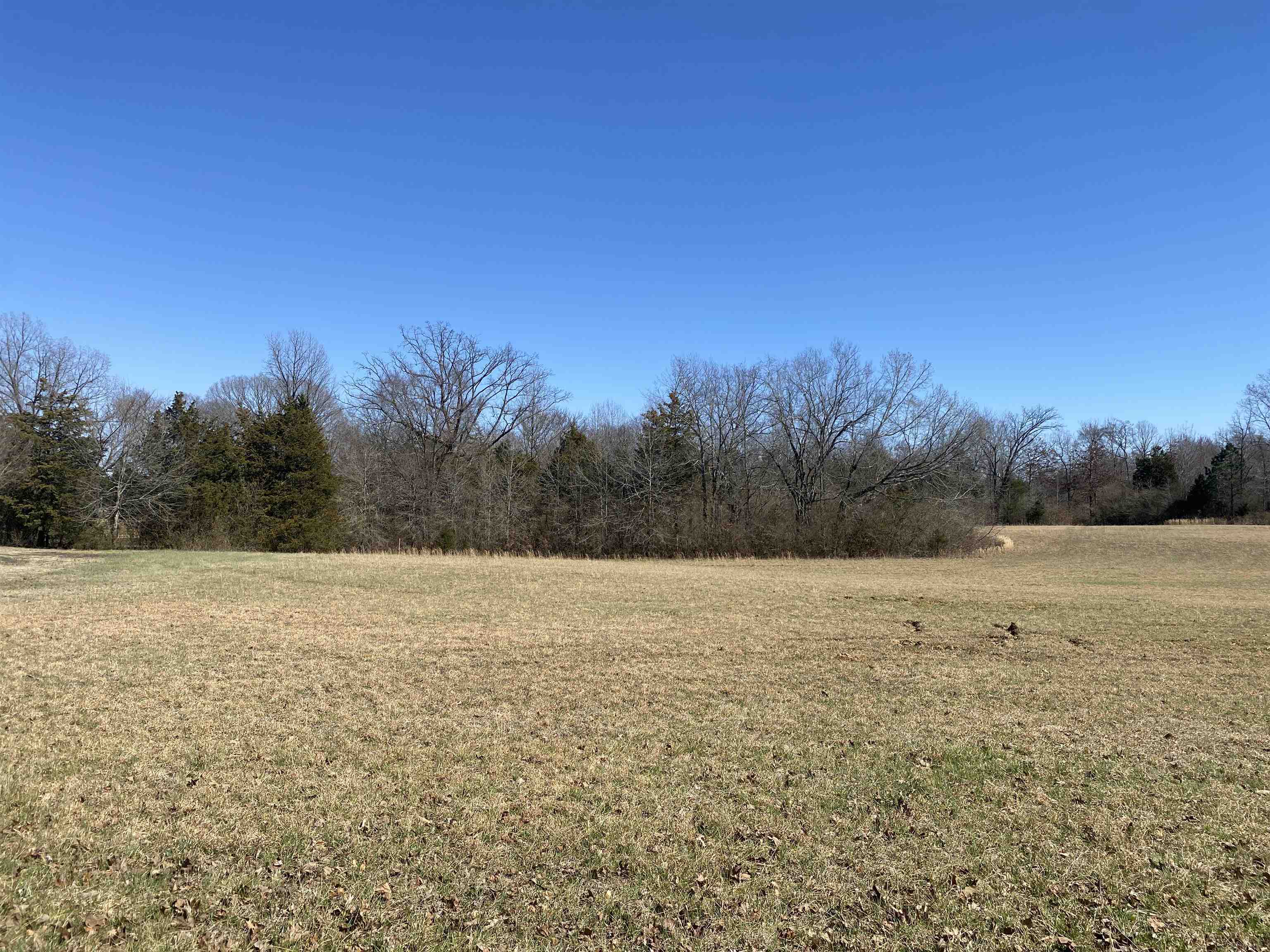 0 Seay Road Adamsville, TN 38310 - Photo 6 of 35 a view of an ocean and beach