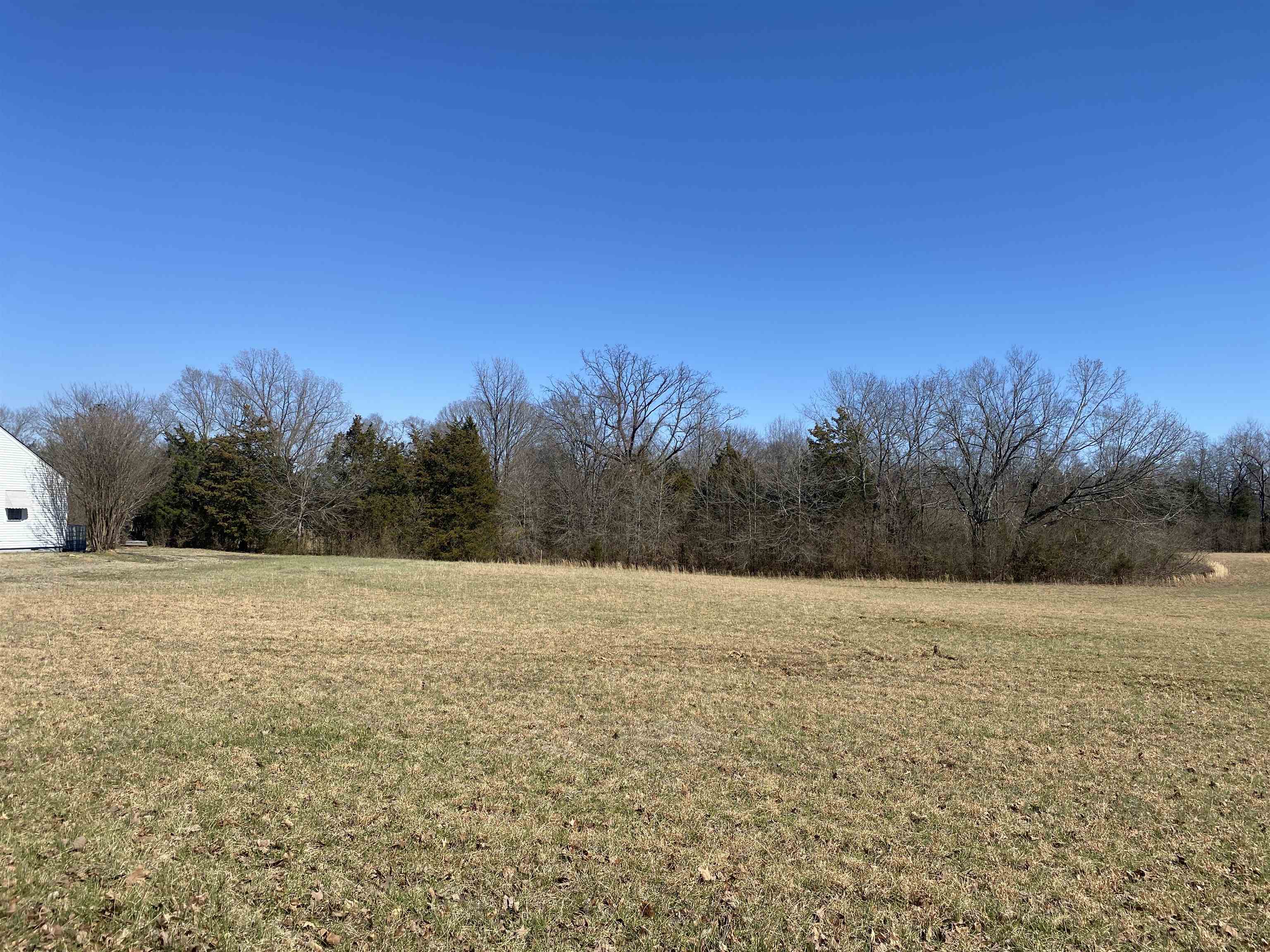 0 Seay Road Adamsville, TN 38310 - Photo 7 of 35 a view of an outdoor space and a yard