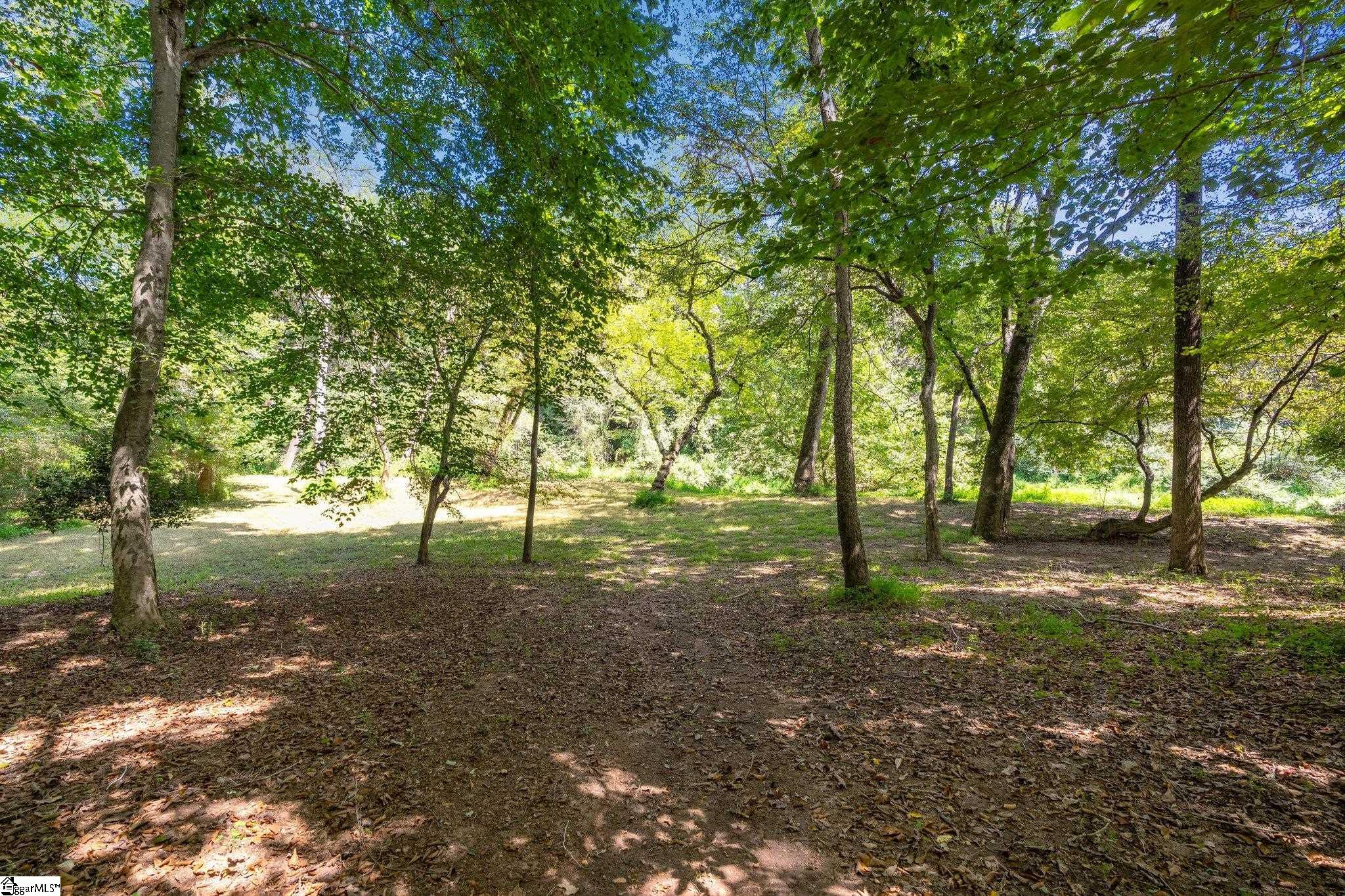 335 Parker Slatton Road Simpsonville, SC 29681 - Photo 29 of 36