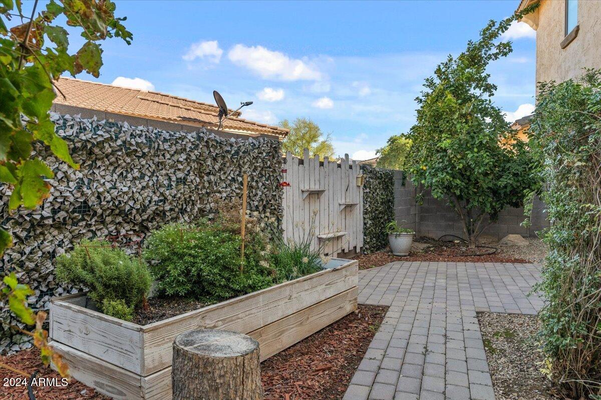 16758 West Rowel Road Surprise, AZ 85387 - Photo 55 of 59 56-Garden Area