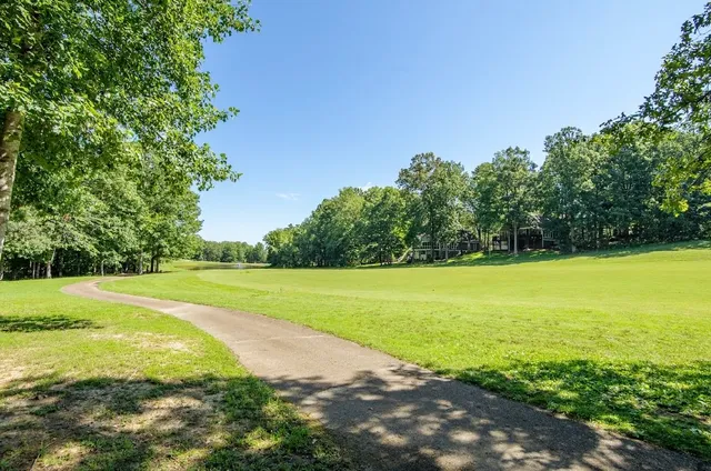 a view of a yard with a tree