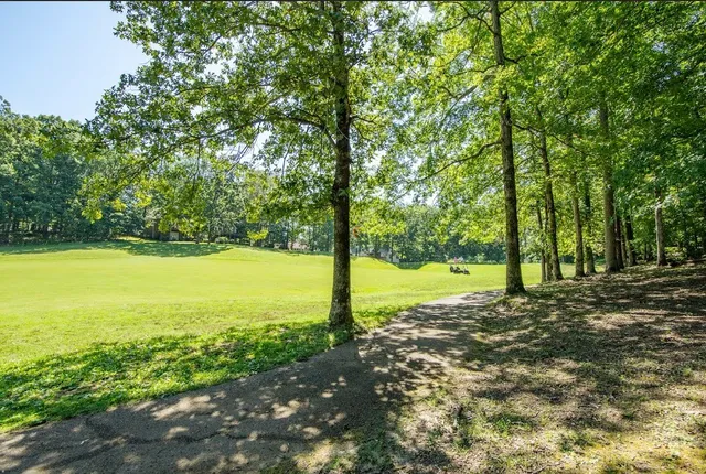 a view of a lake with a mountain in the background